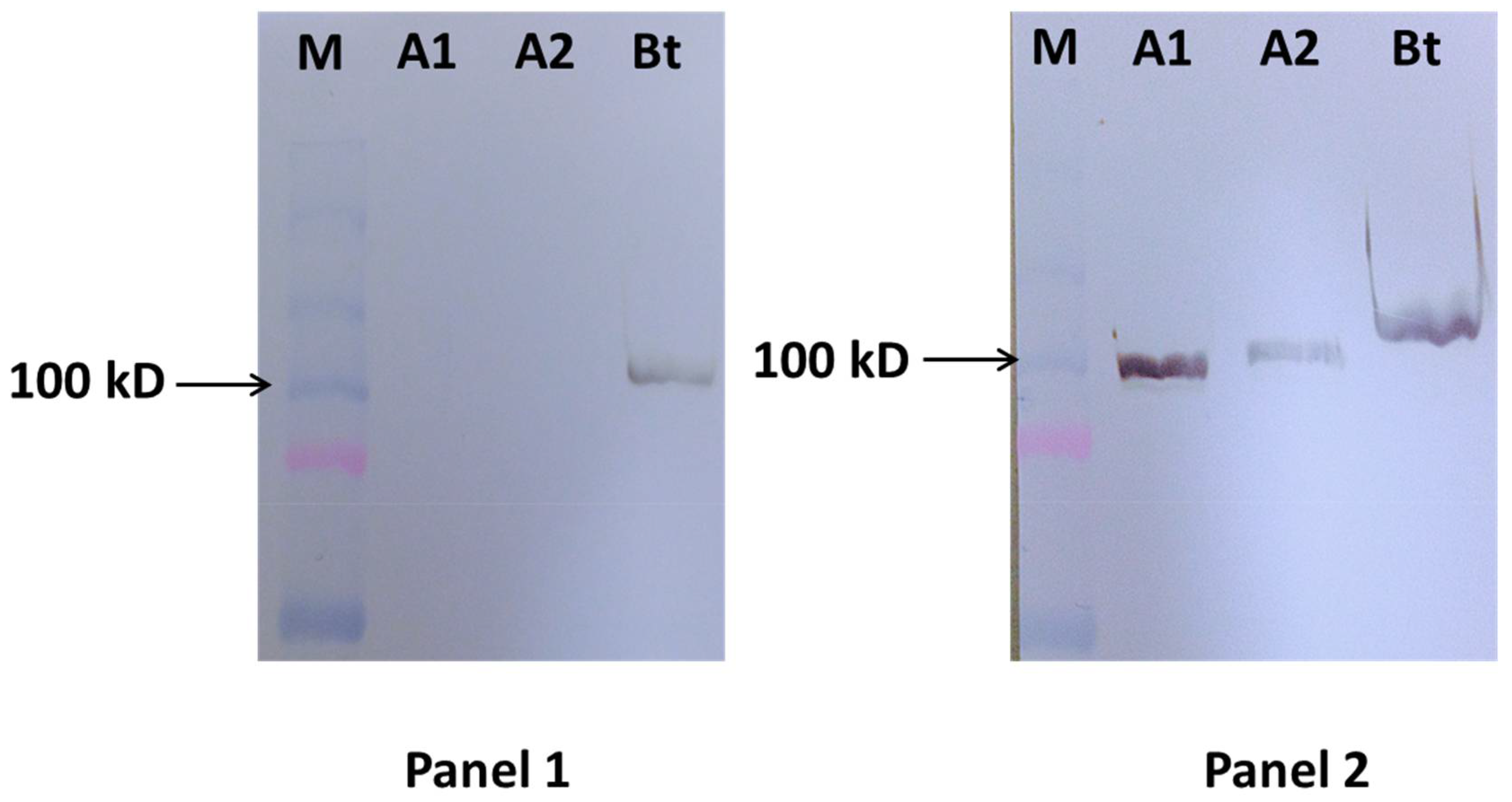 Toxins 10 00220 g002