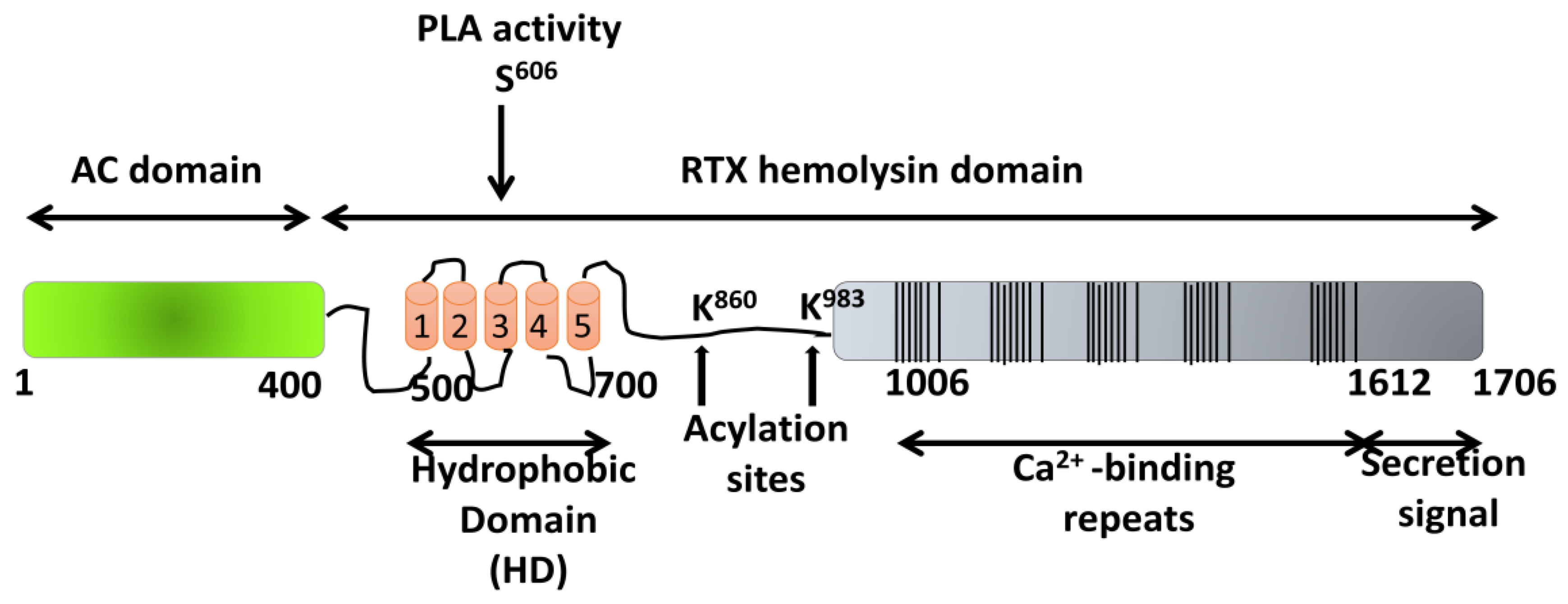 Toxins 10 00234 g003