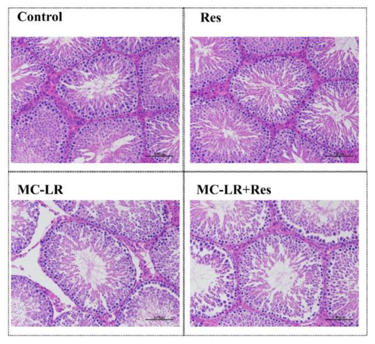 Toxins 10 00235 g007