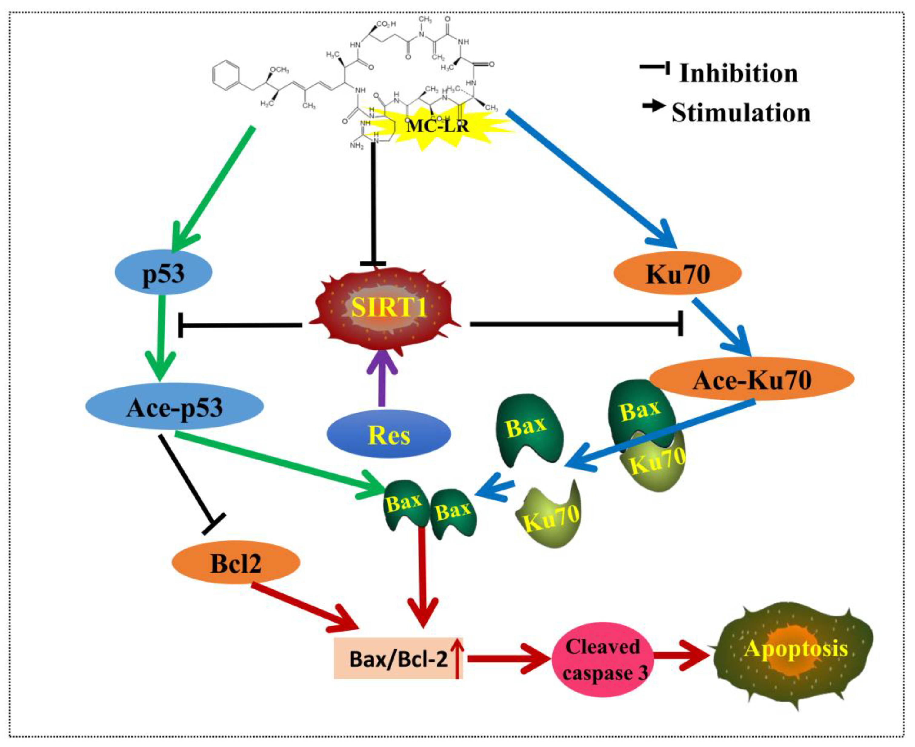 Toxins 10 00235 g008