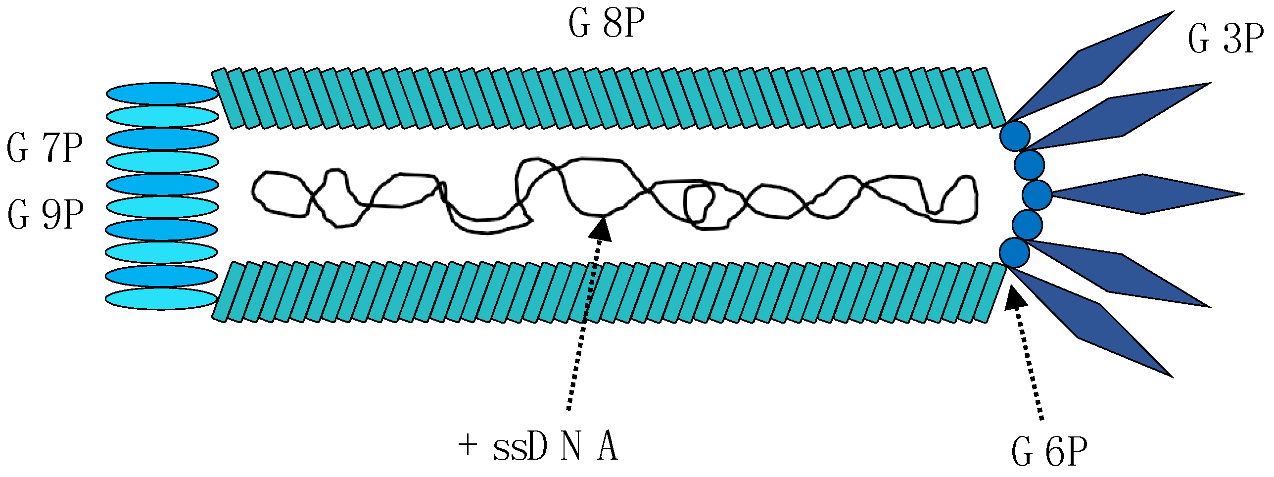 Toxins 10 00236 g001 Toxins 10 00236 g001