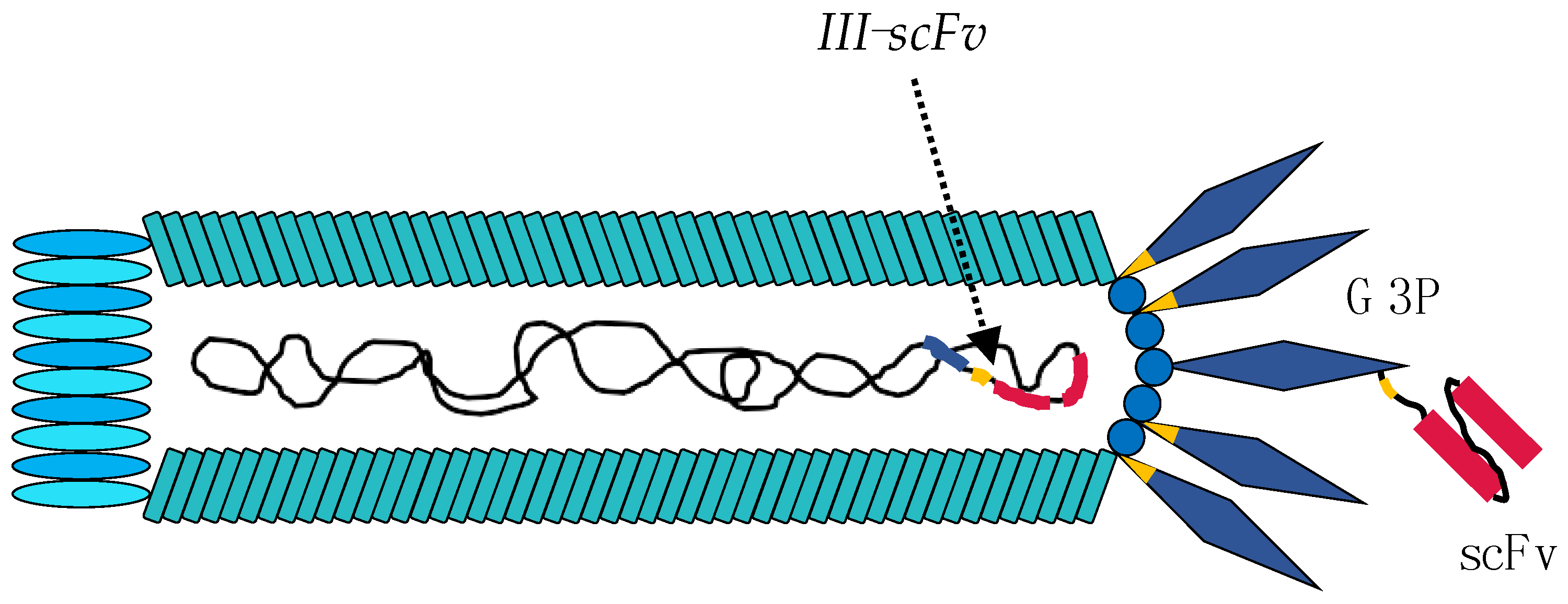 Toxins 10 00236 g004 Toxins 10 00236 g004
