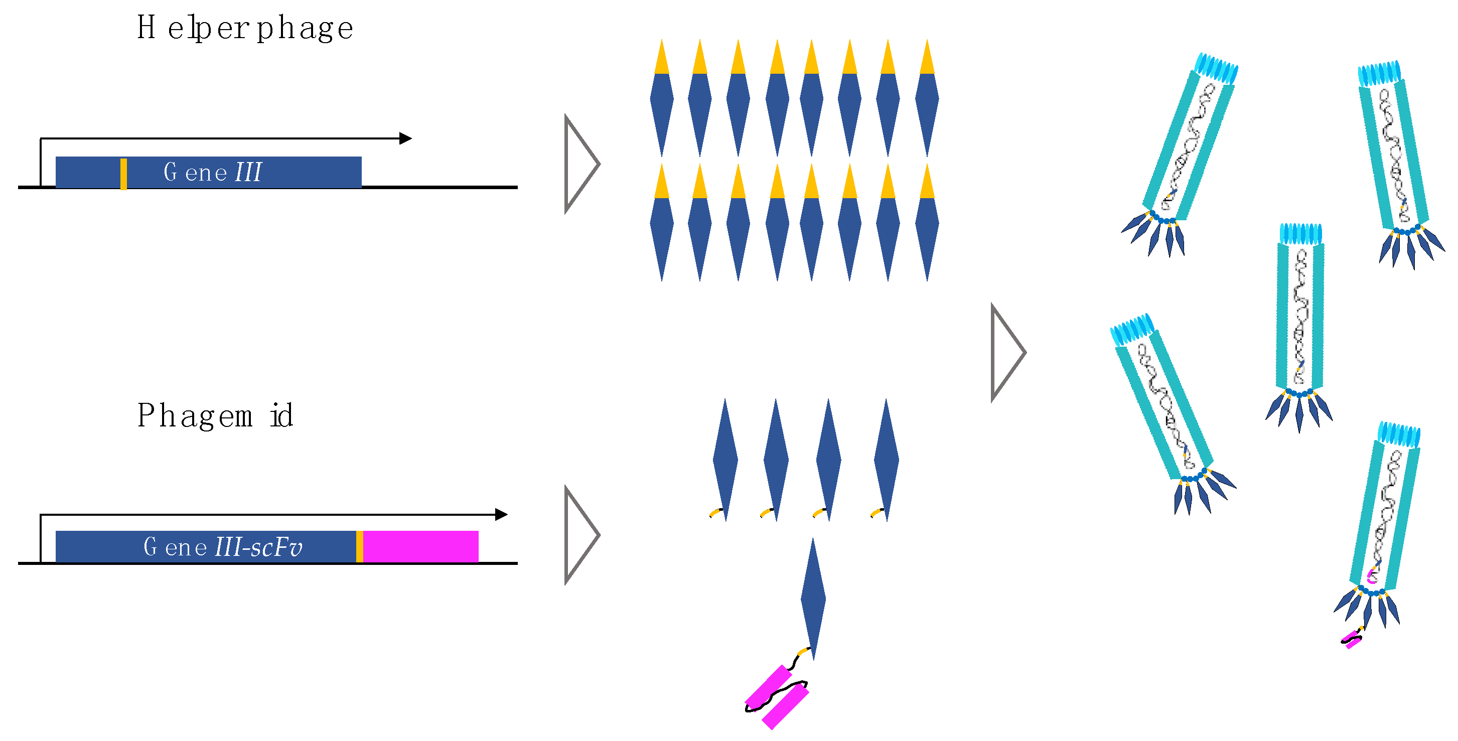Toxins 10 00236 g005 Toxins 10 00236 g005