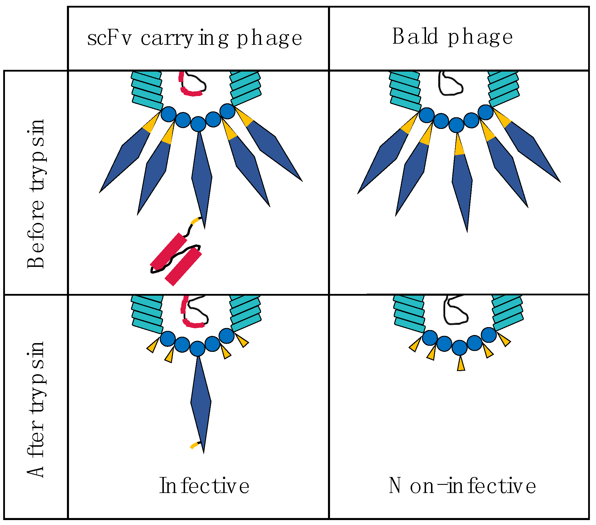 Toxins 10 00236 g006 Toxins 10 00236 g006