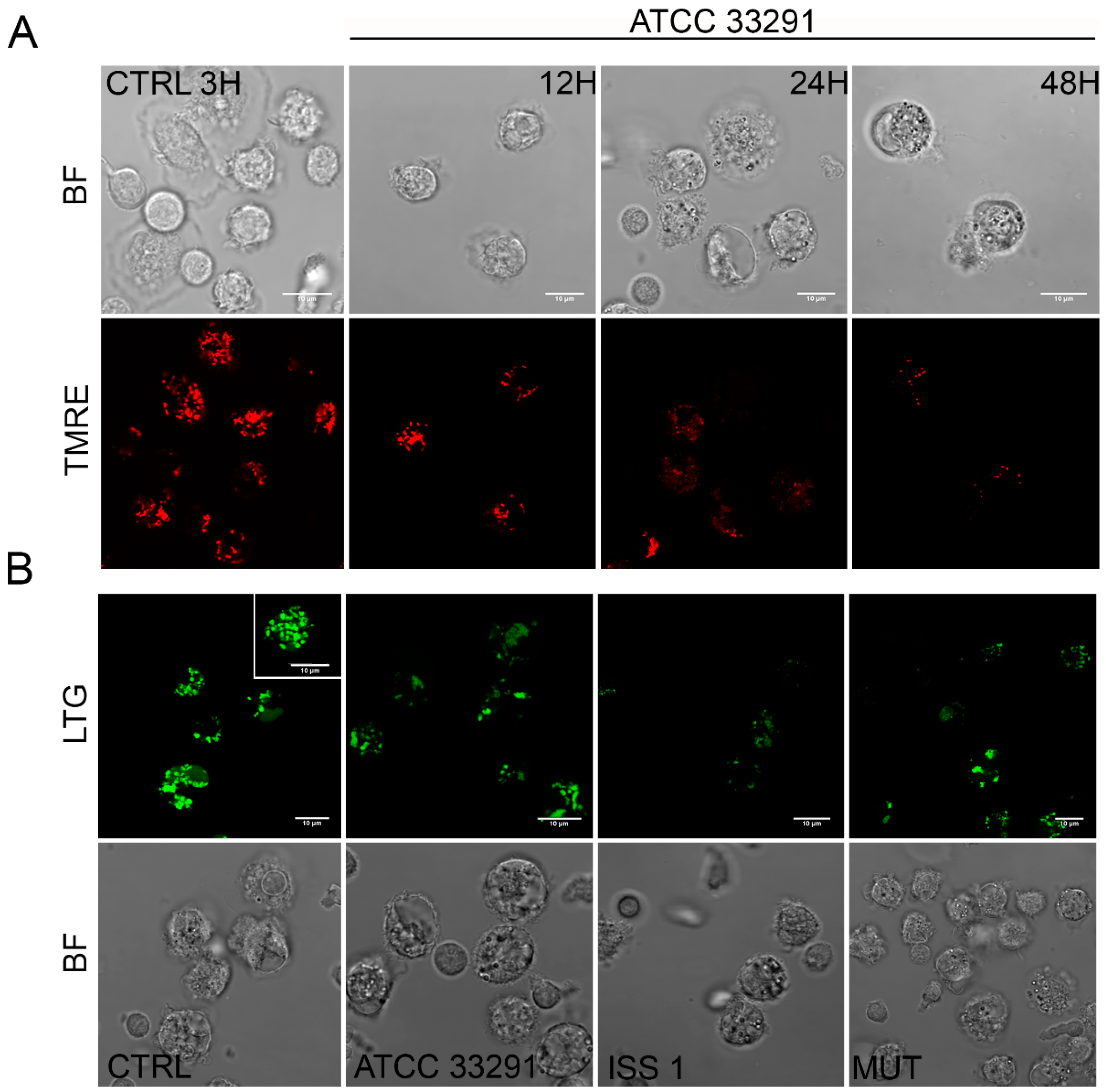 Toxins 10 00239 g003