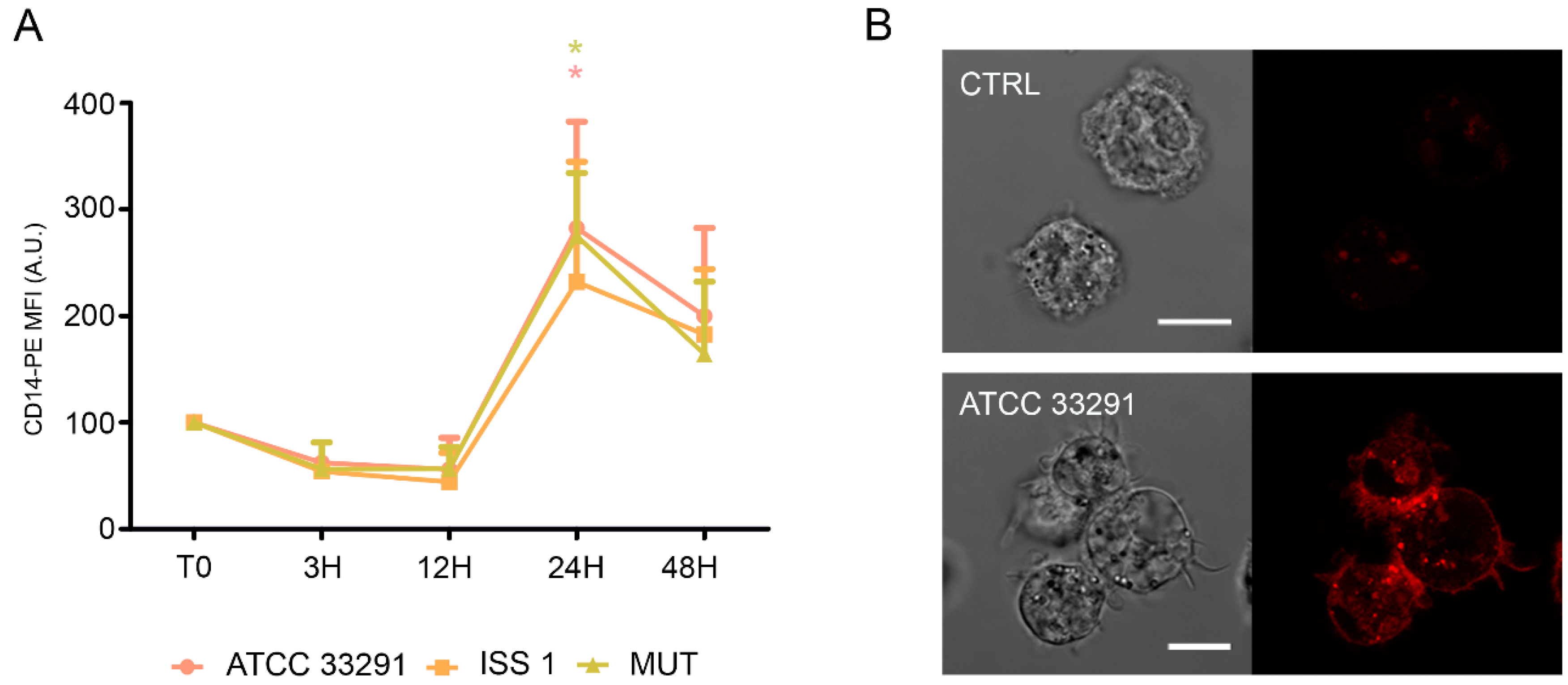 Toxins 10 00239 g006