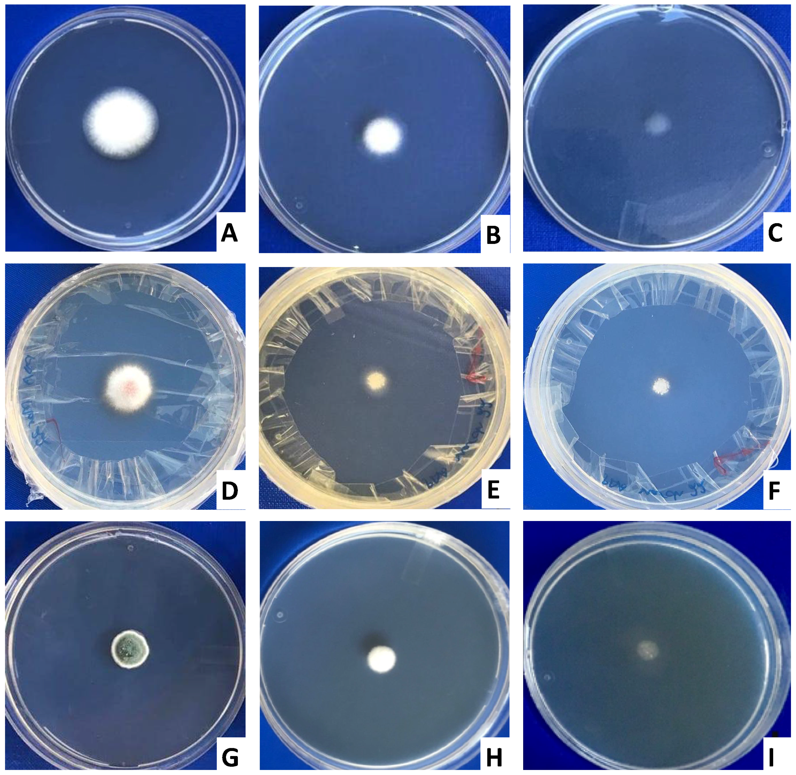 Toxins 10 00242 g001 Toxins 10 00242 g001