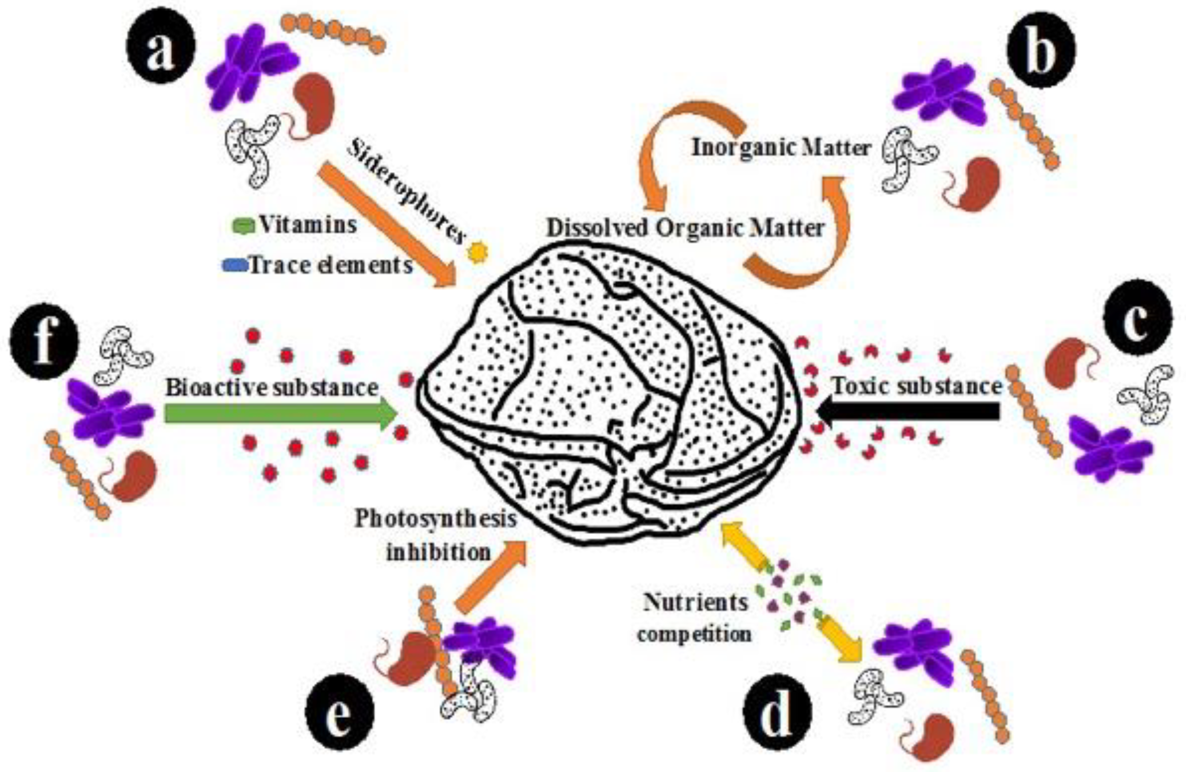 Toxins 10 00257 g007 Toxins 10 00257 g007