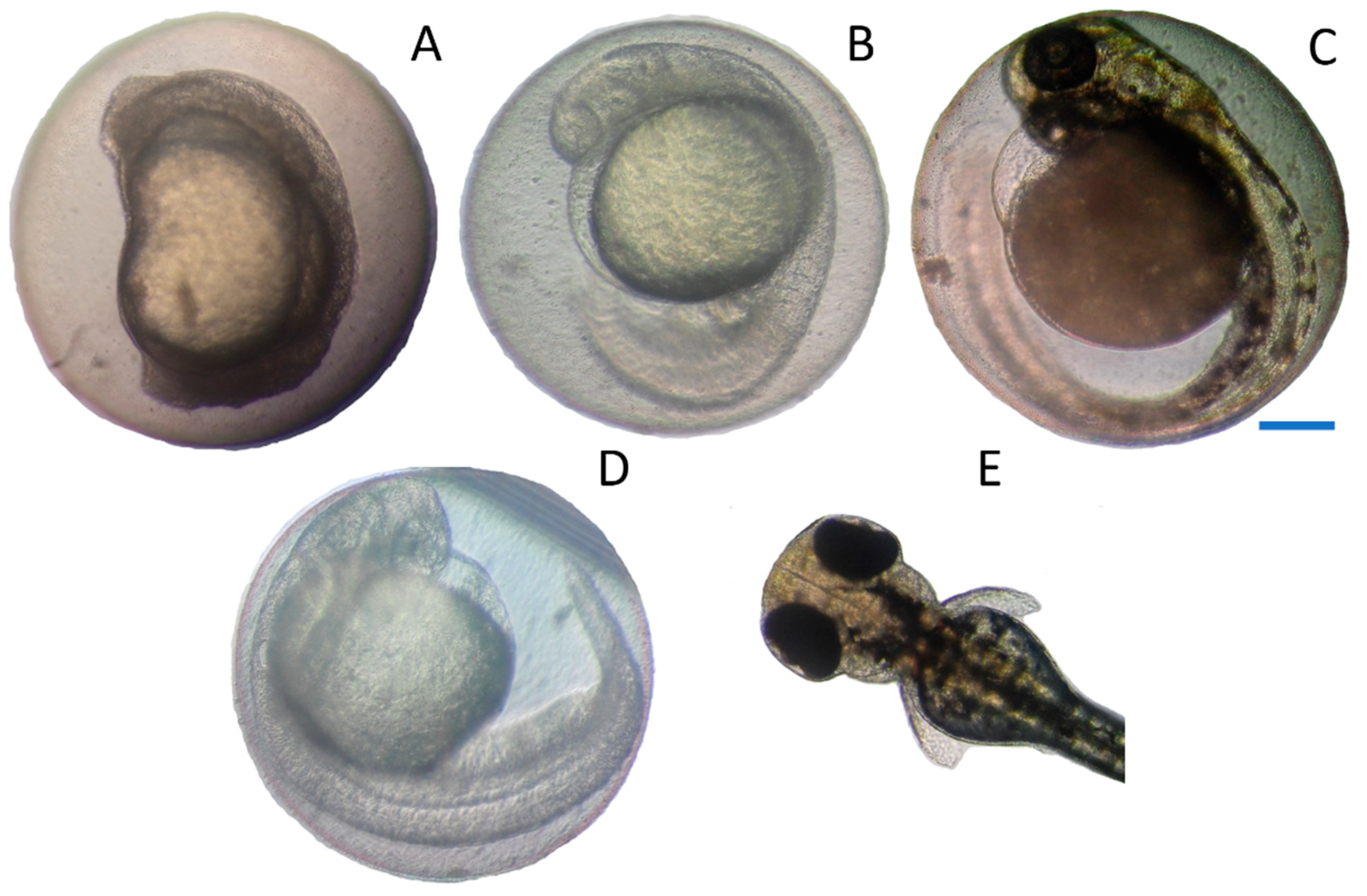 Toxins 10 00264 g002
