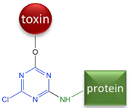 Toxins 10 00265 i002 Toxins 10 00265 i002