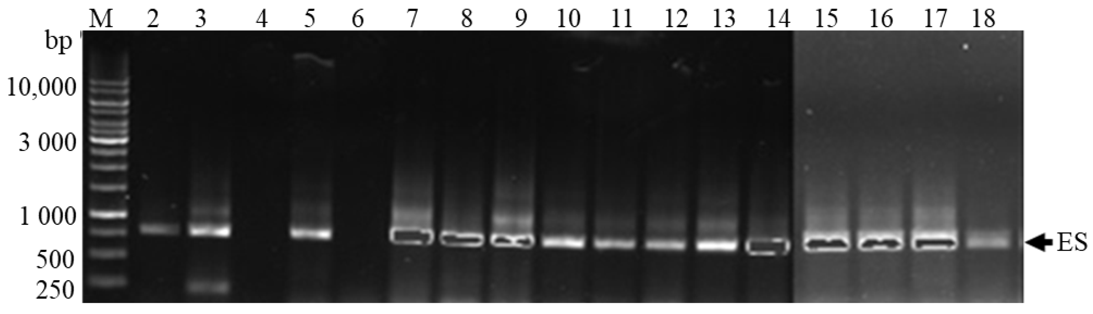 Toxins 10 00269 g005
