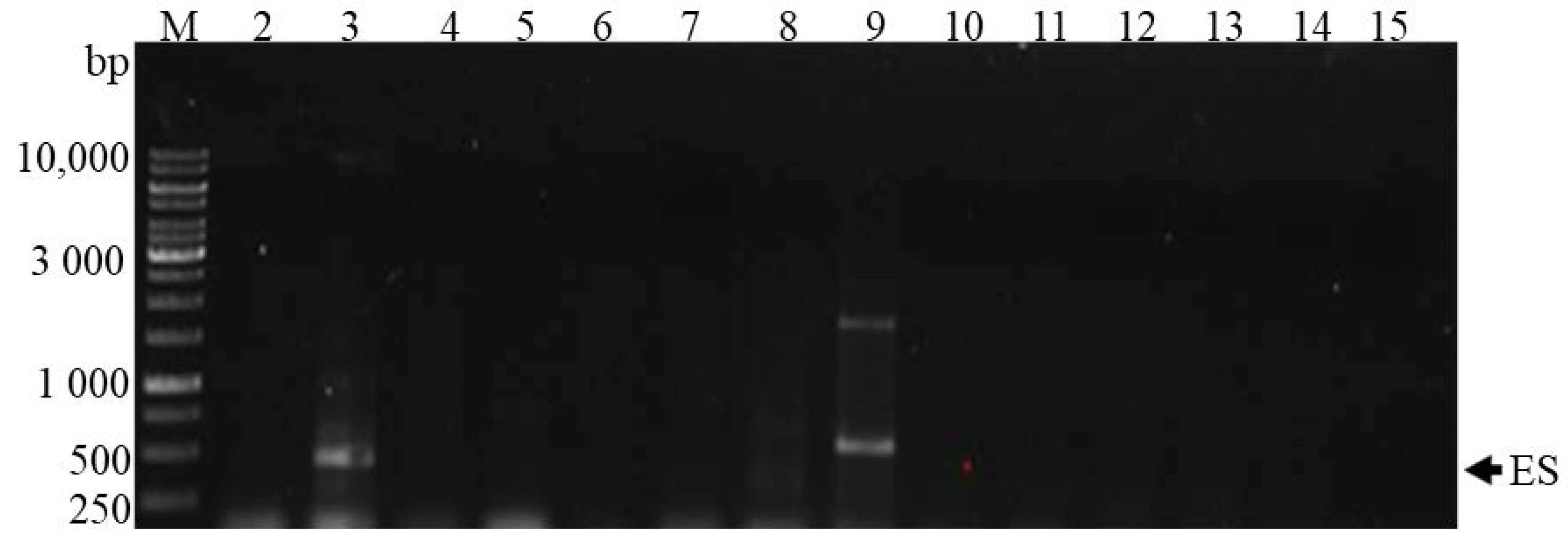 Toxins 10 00269 g006