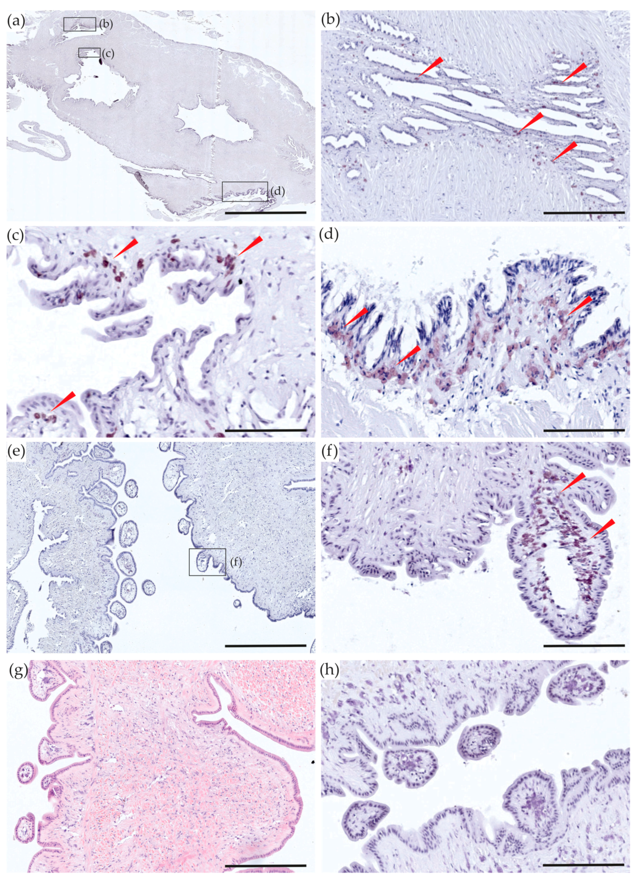 Toxins 10 00282 g002