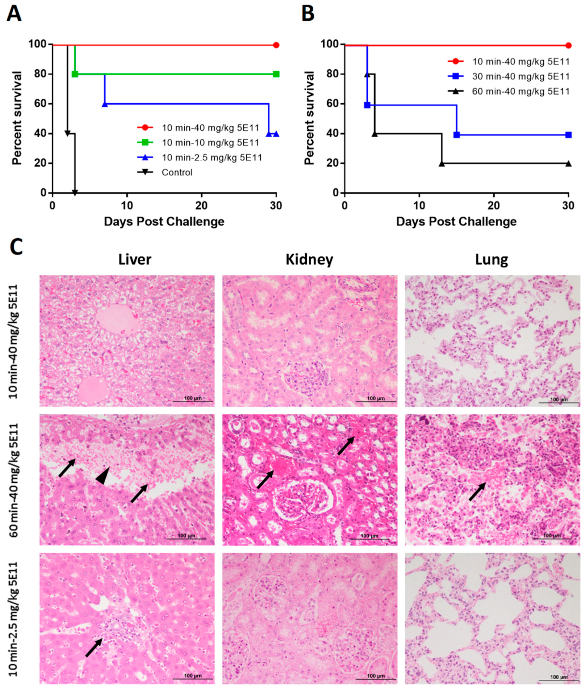 Toxins 10 00289 g004