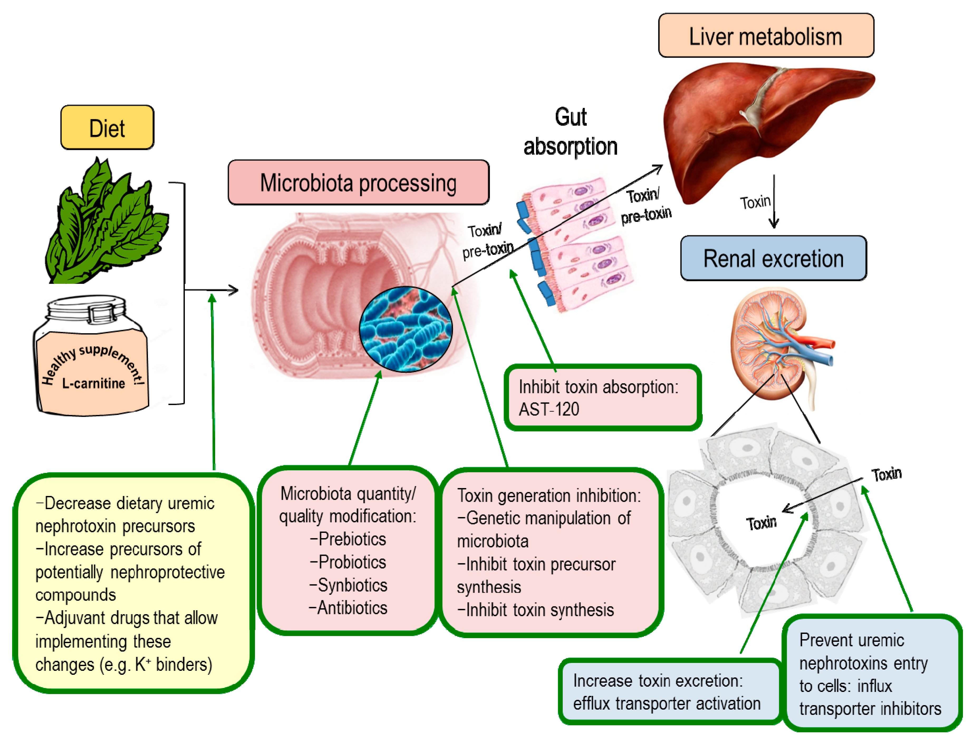 Toxins 10 00300 g002 Toxins 10 00300 g002
