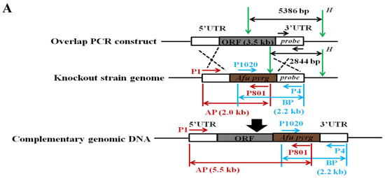 Toxins 10 00301 g002a Toxins 10 00301 g002a