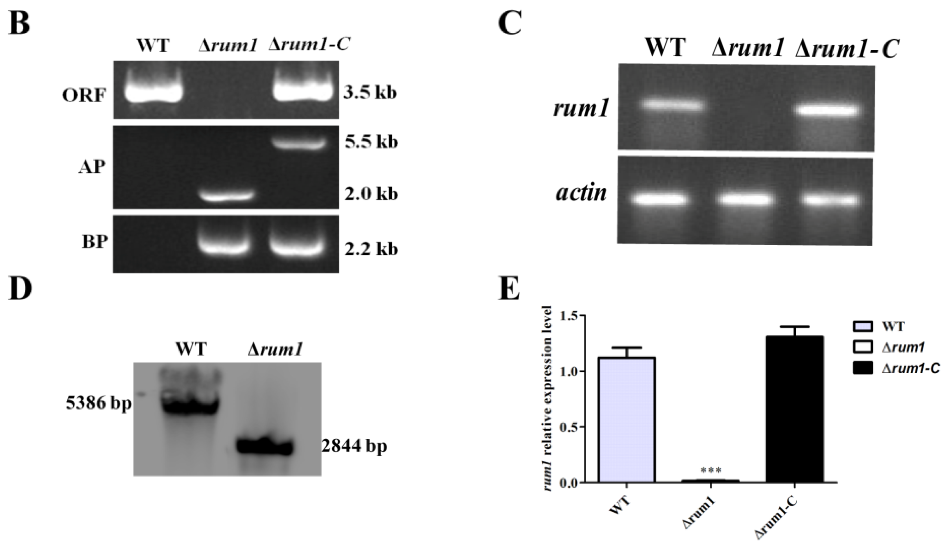 Toxins 10 00301 g002b Toxins 10 00301 g002b