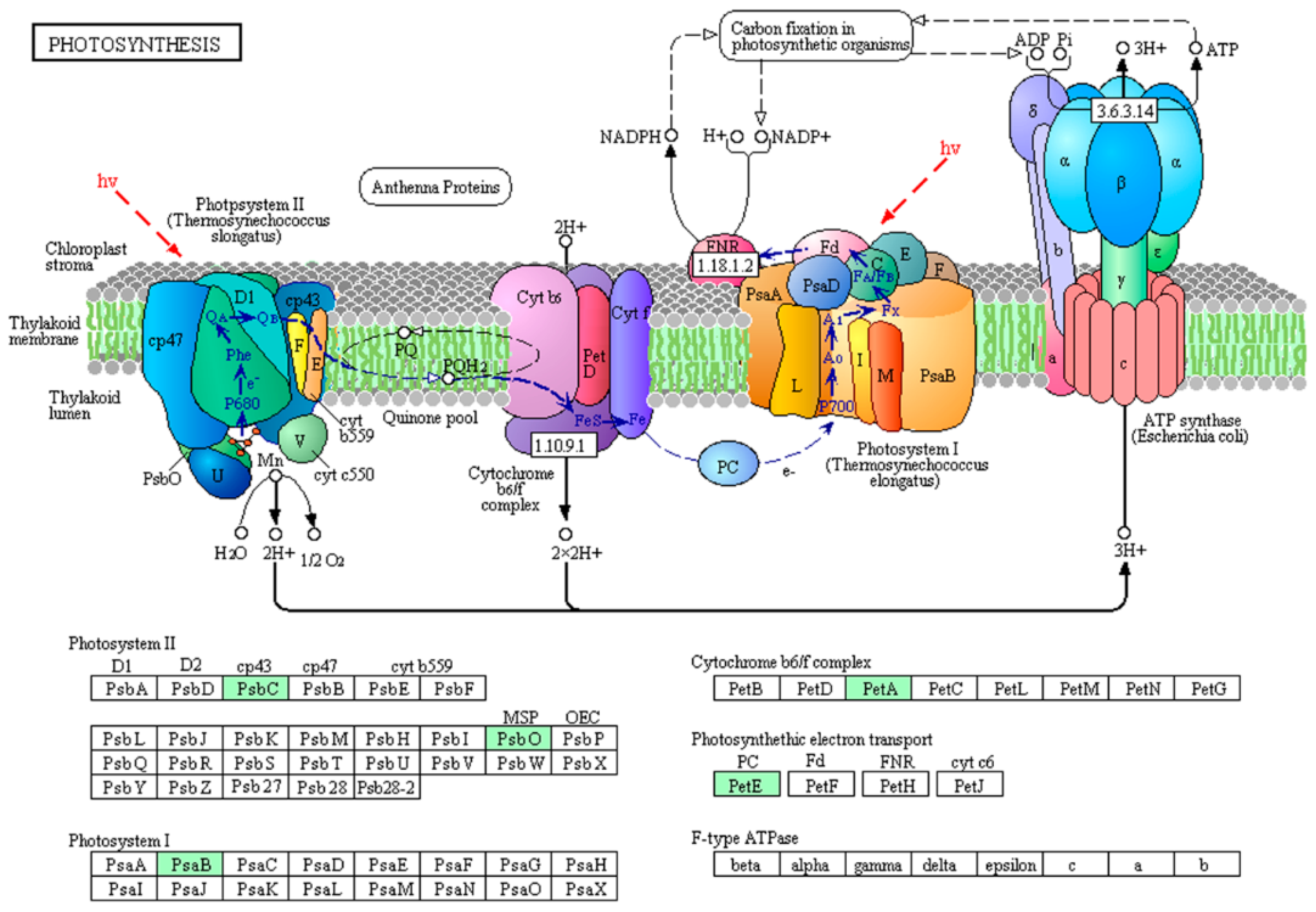 Toxins 10 00304 g004 Toxins 10 00304 g004