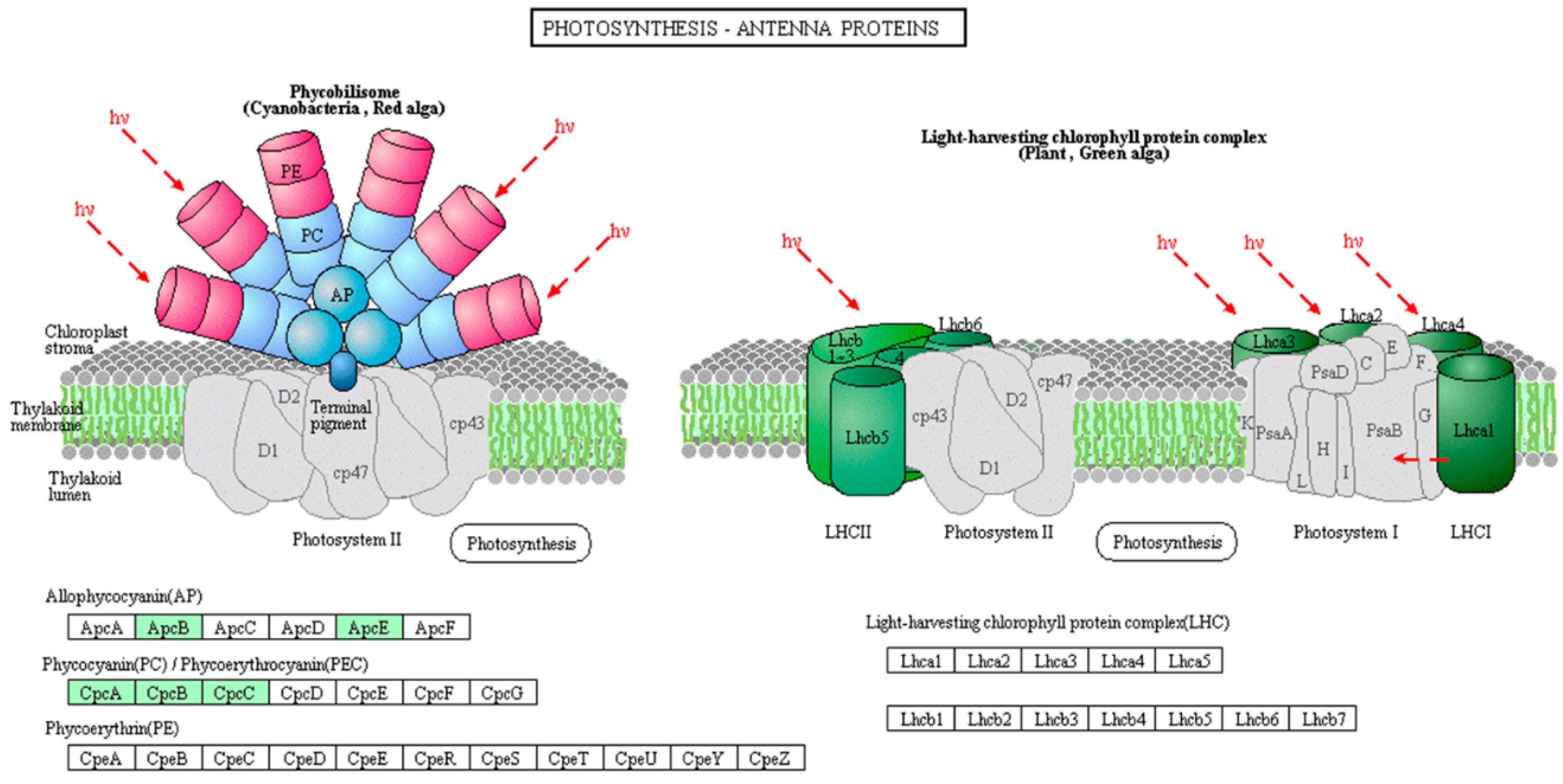 Toxins 10 00304 g006 Toxins 10 00304 g006