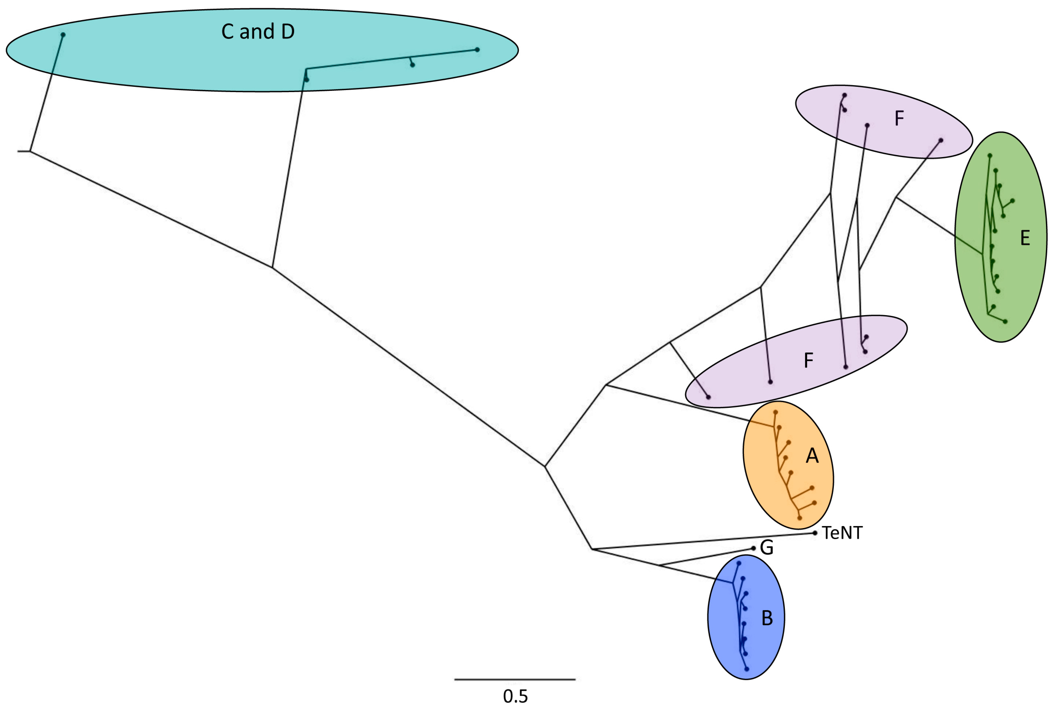 Toxins 10 00310 g001