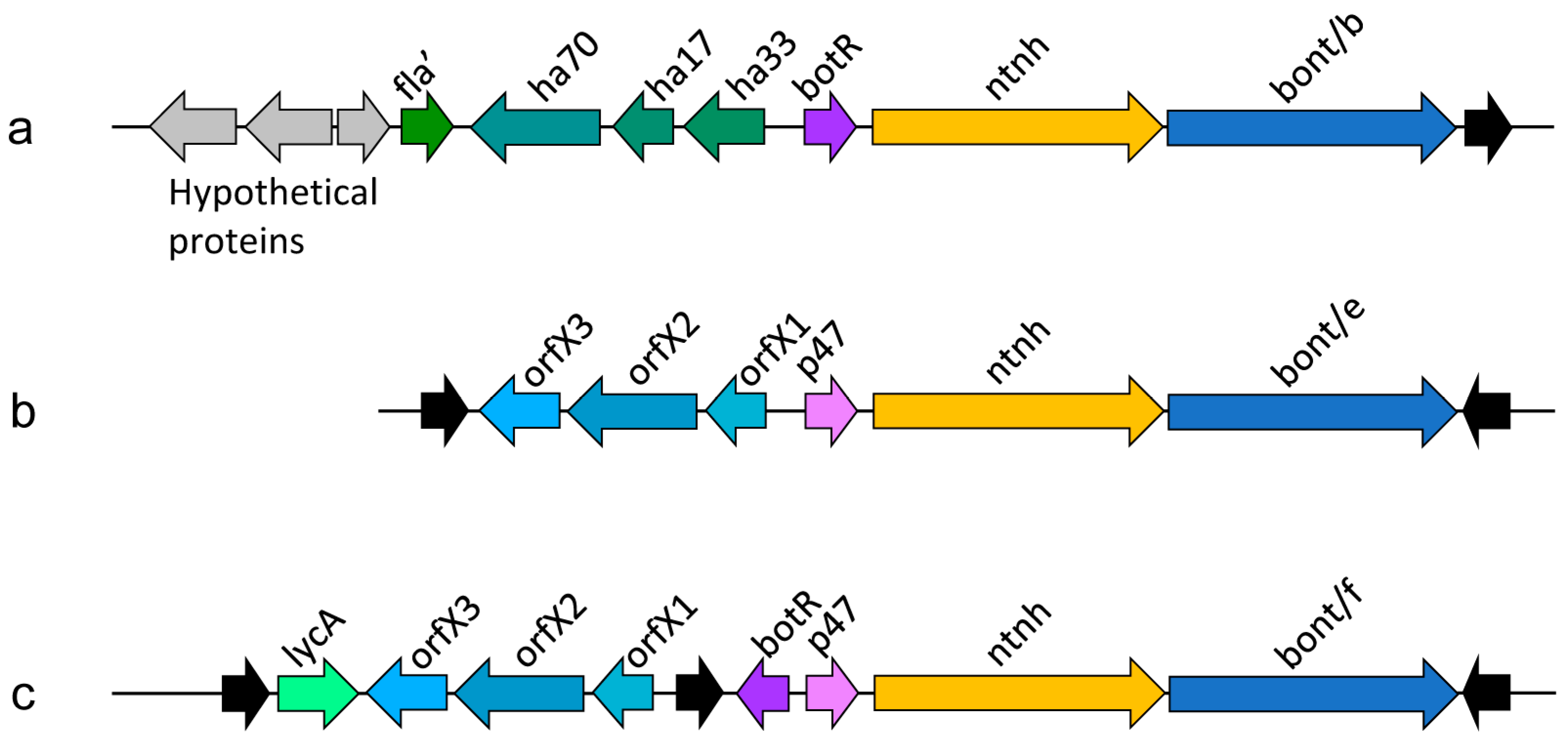 Toxins 10 00310 g002