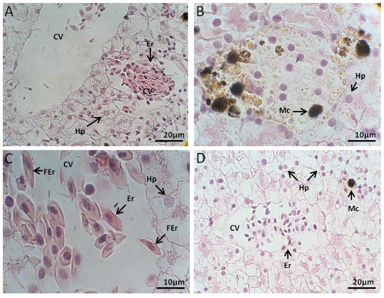 Toxins 10 00318 g002 Toxins 10 00318 g002
