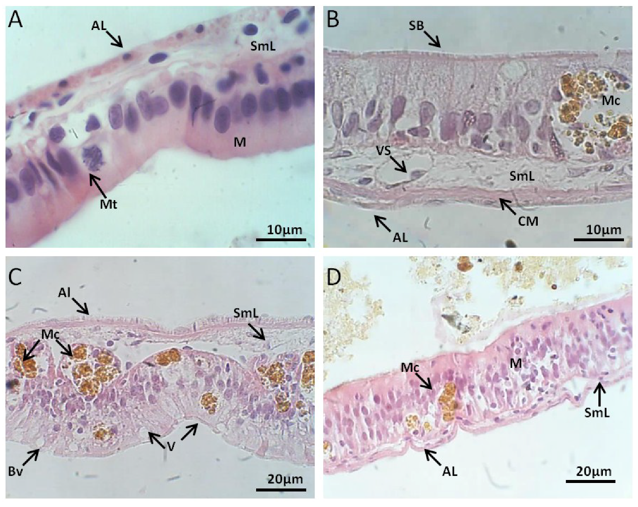 Toxins 10 00318 g003 Toxins 10 00318 g003
