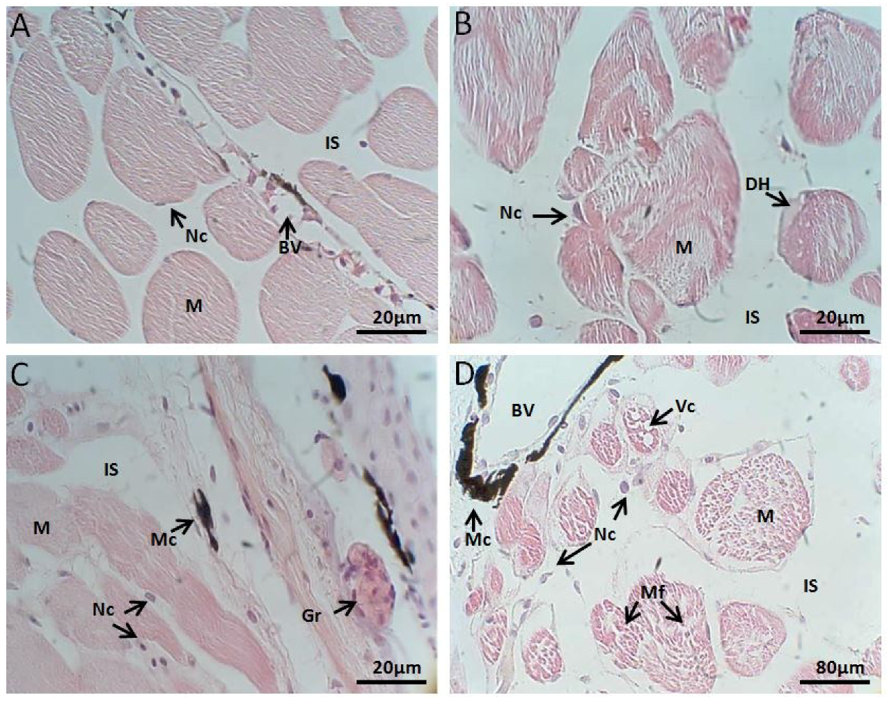 Toxins 10 00318 g004 Toxins 10 00318 g004