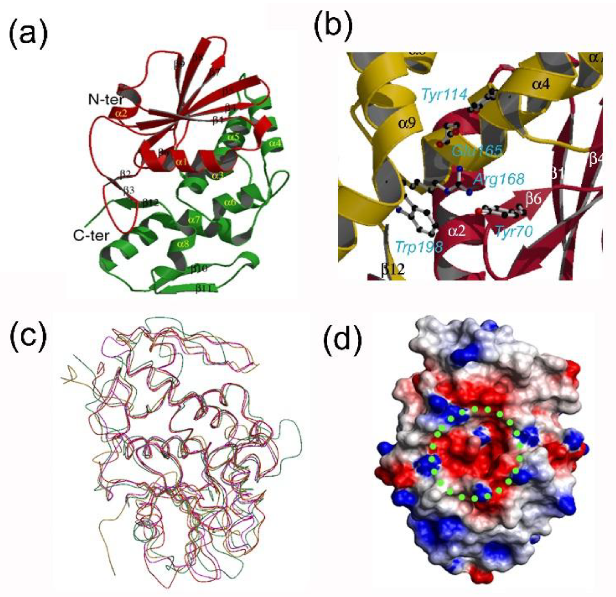 Toxins 10 00323 g002