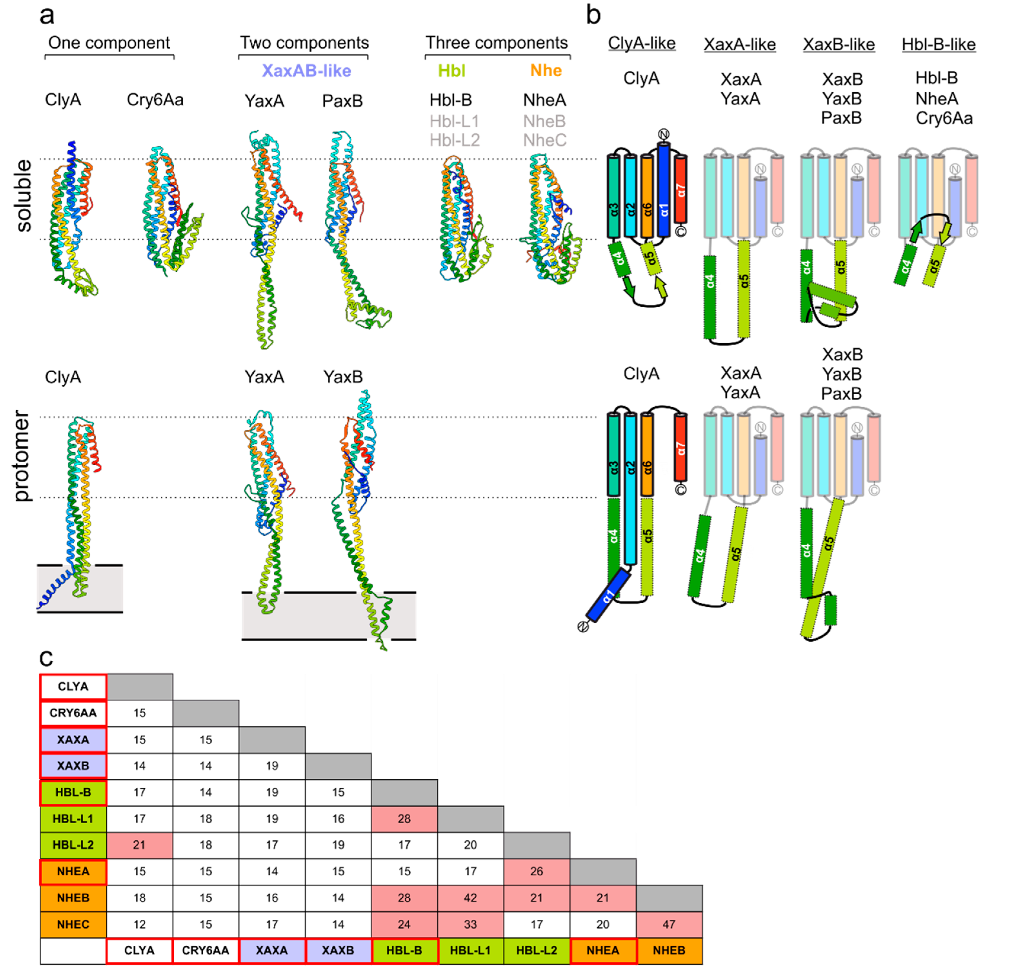 Toxins 10 00343 g001
