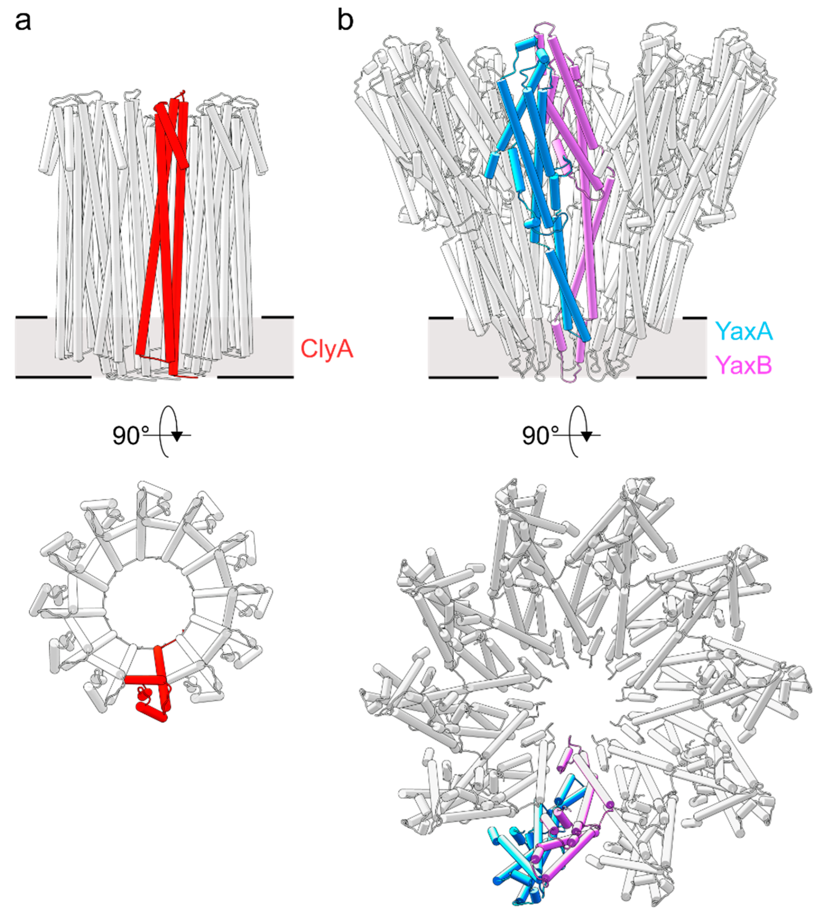 Toxins 10 00343 g002