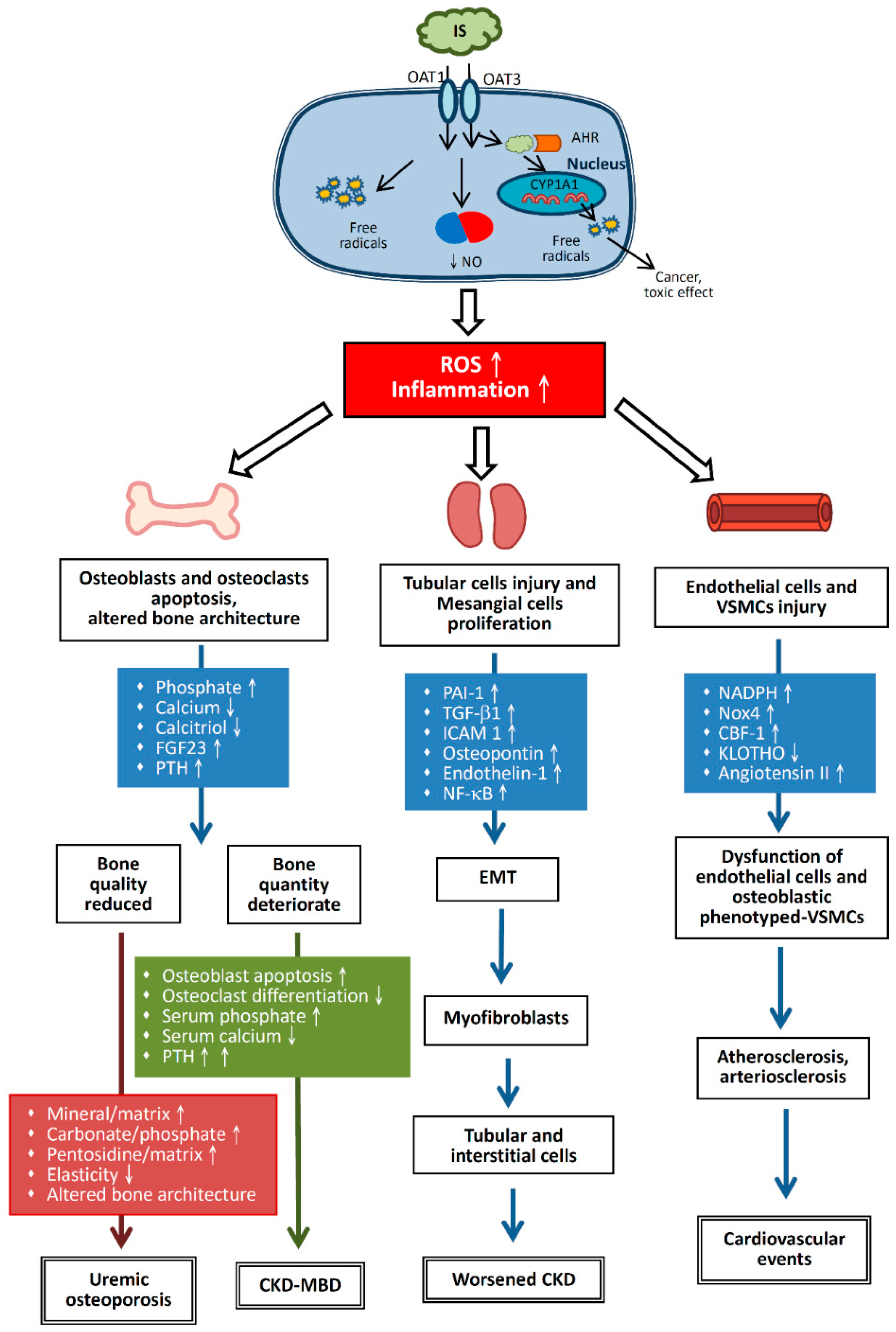 Toxins 10 00367 g001
