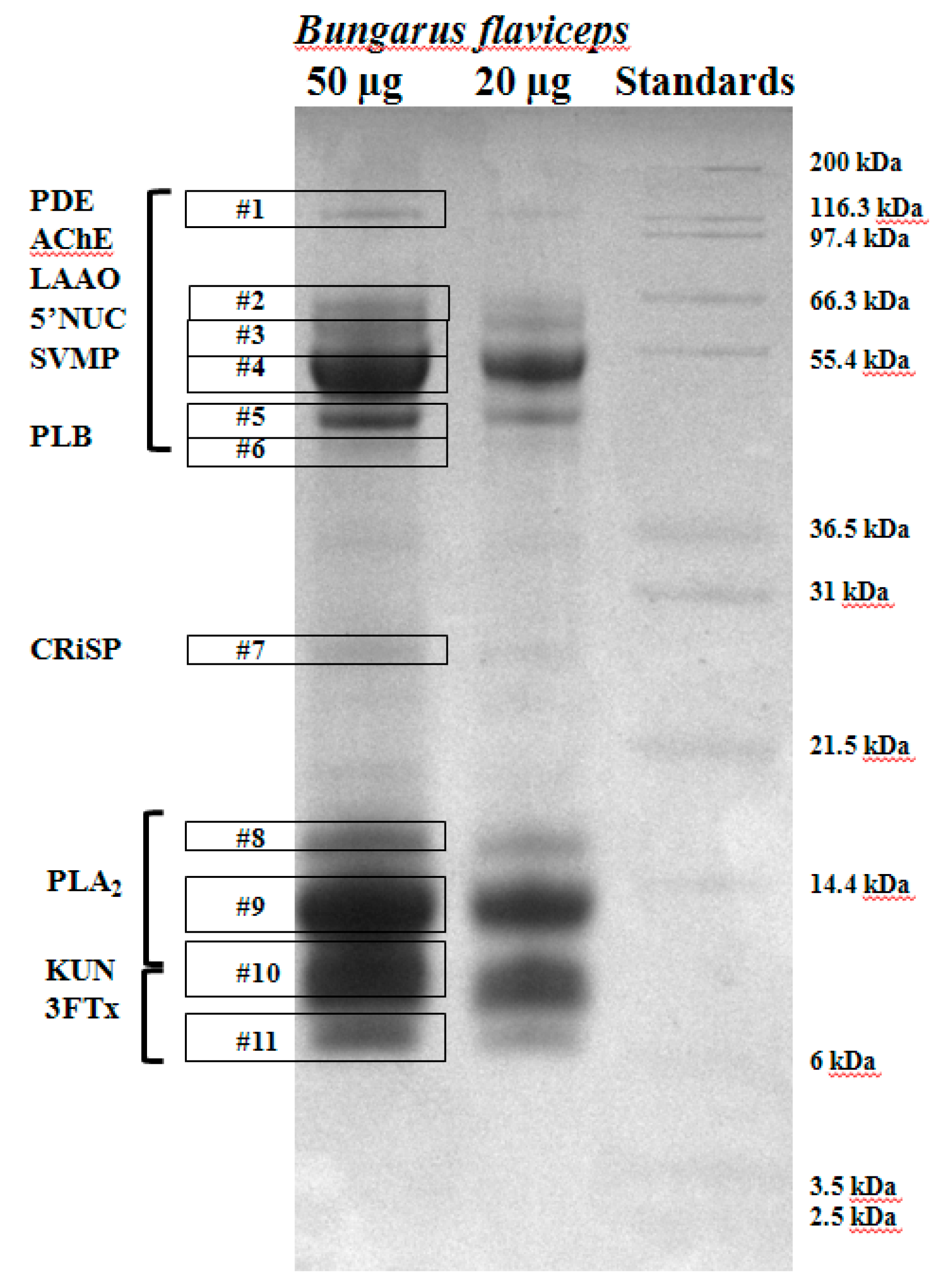 Toxins 10 00373 g002 Toxins 10 00373 g002