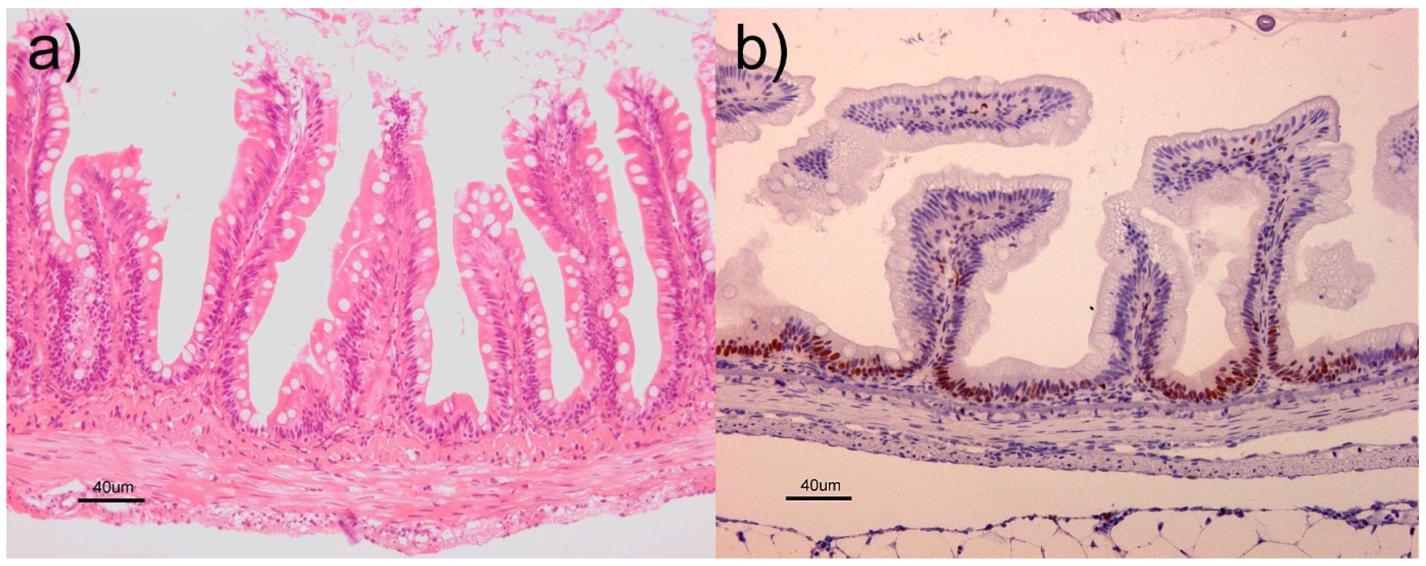 Toxins 10 00376 g004 Toxins 10 00376 g004