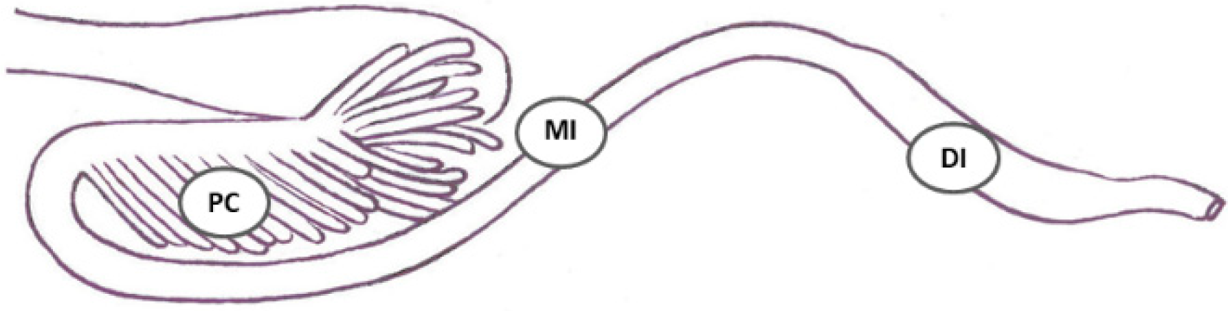 Toxins 10 00376 g006 Toxins 10 00376 g006