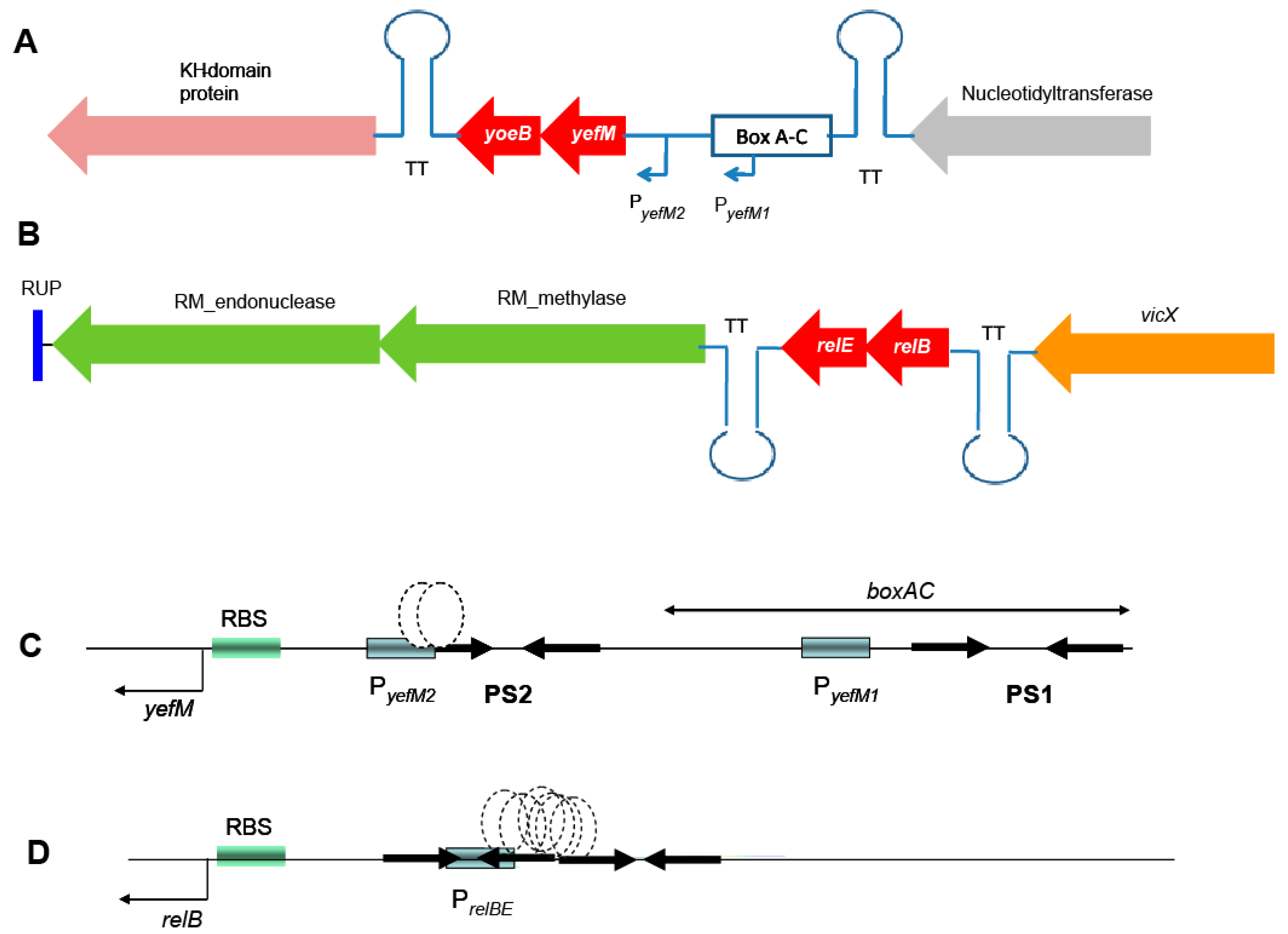 Toxins 10 00378 g001
