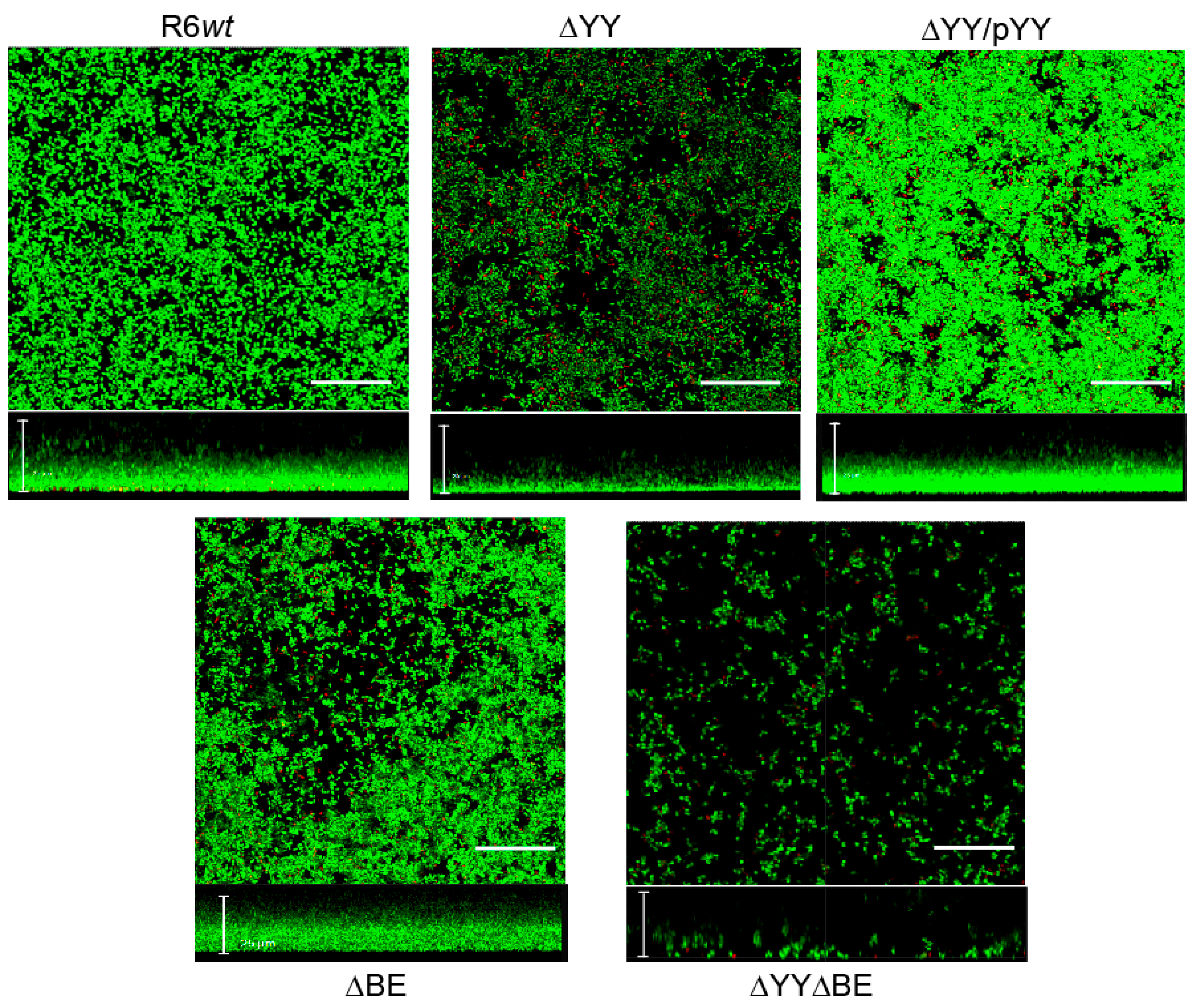 Toxins 10 00378 g005
