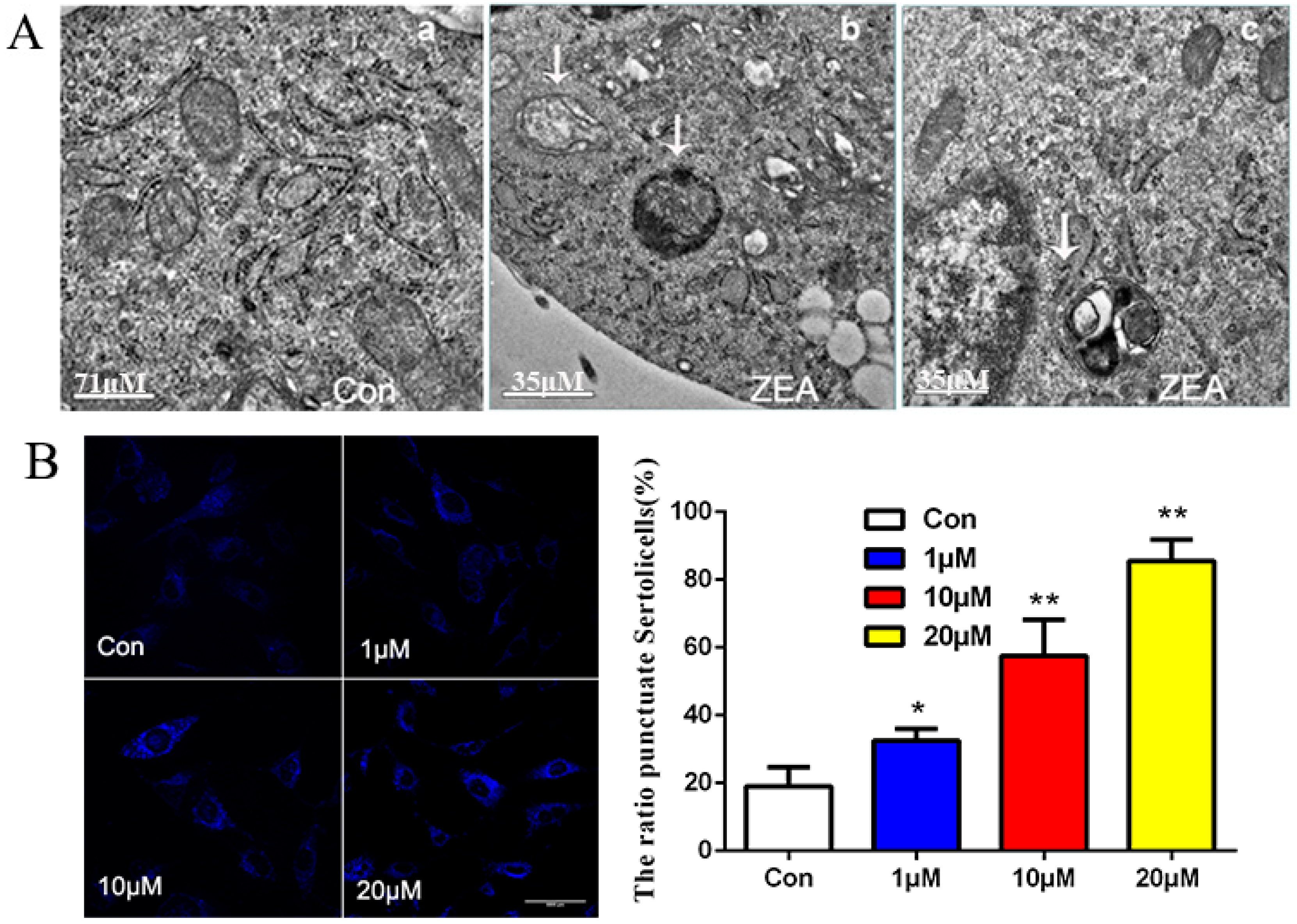 Toxins 10 00398 g003a Toxins 10 00398 g003a