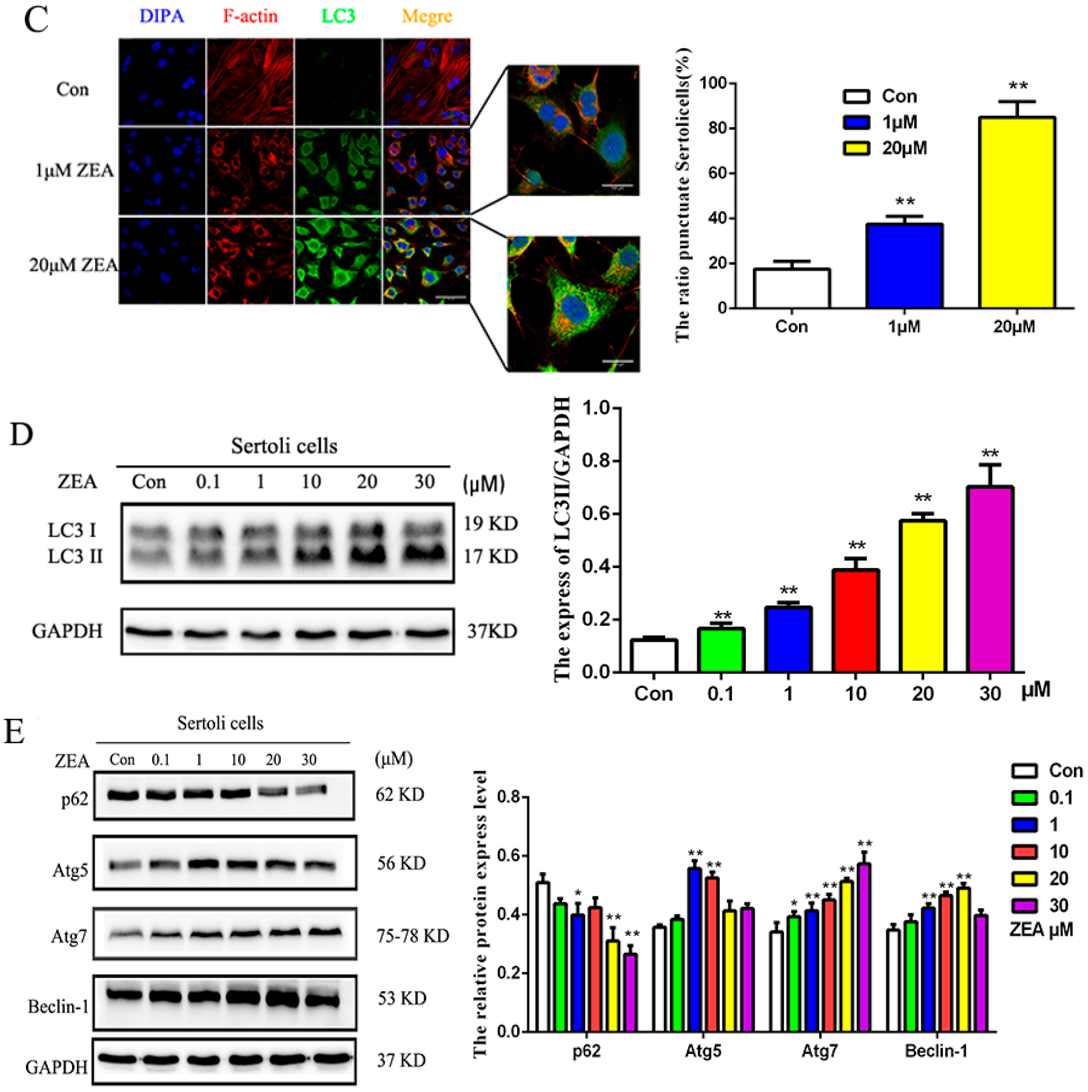 Toxins 10 00398 g003b Toxins 10 00398 g003b