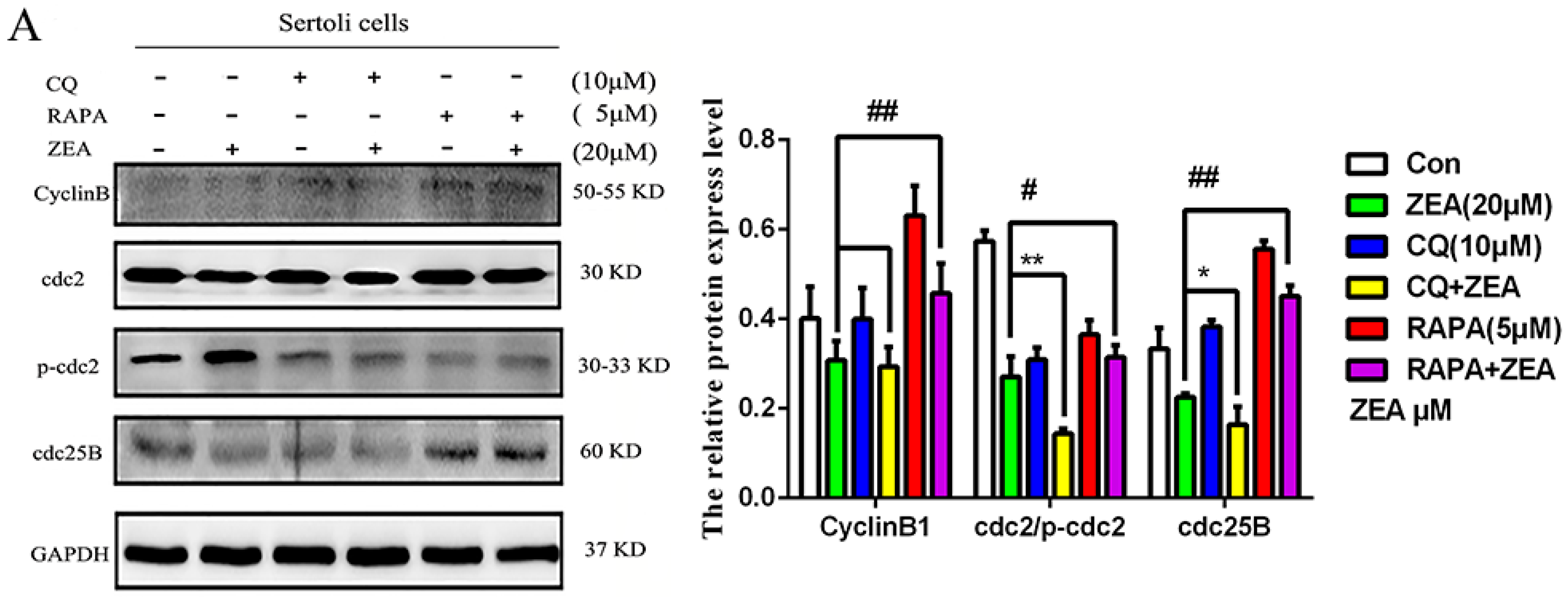 Toxins 10 00398 g006a Toxins 10 00398 g006a