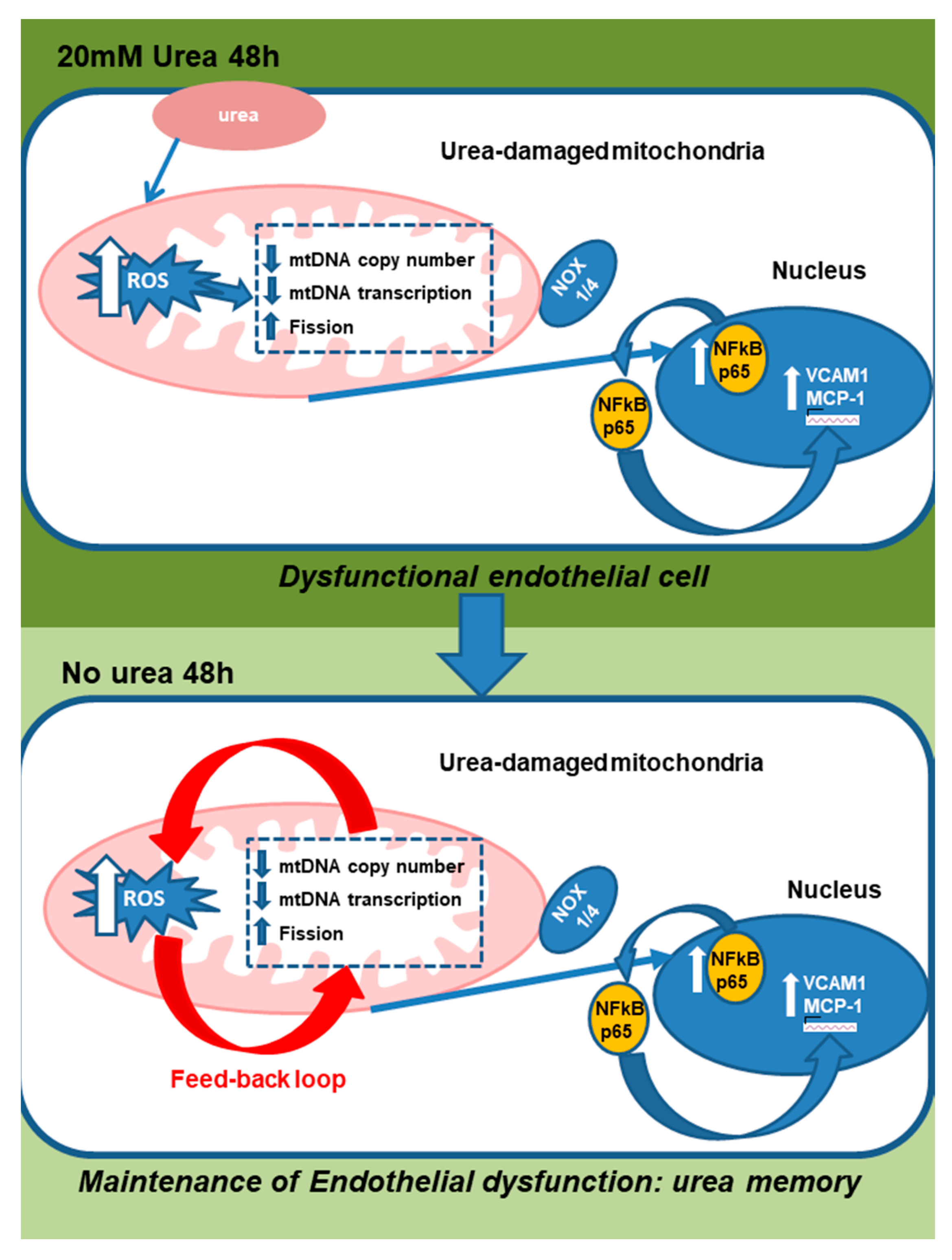 Toxins 10 00410 g010