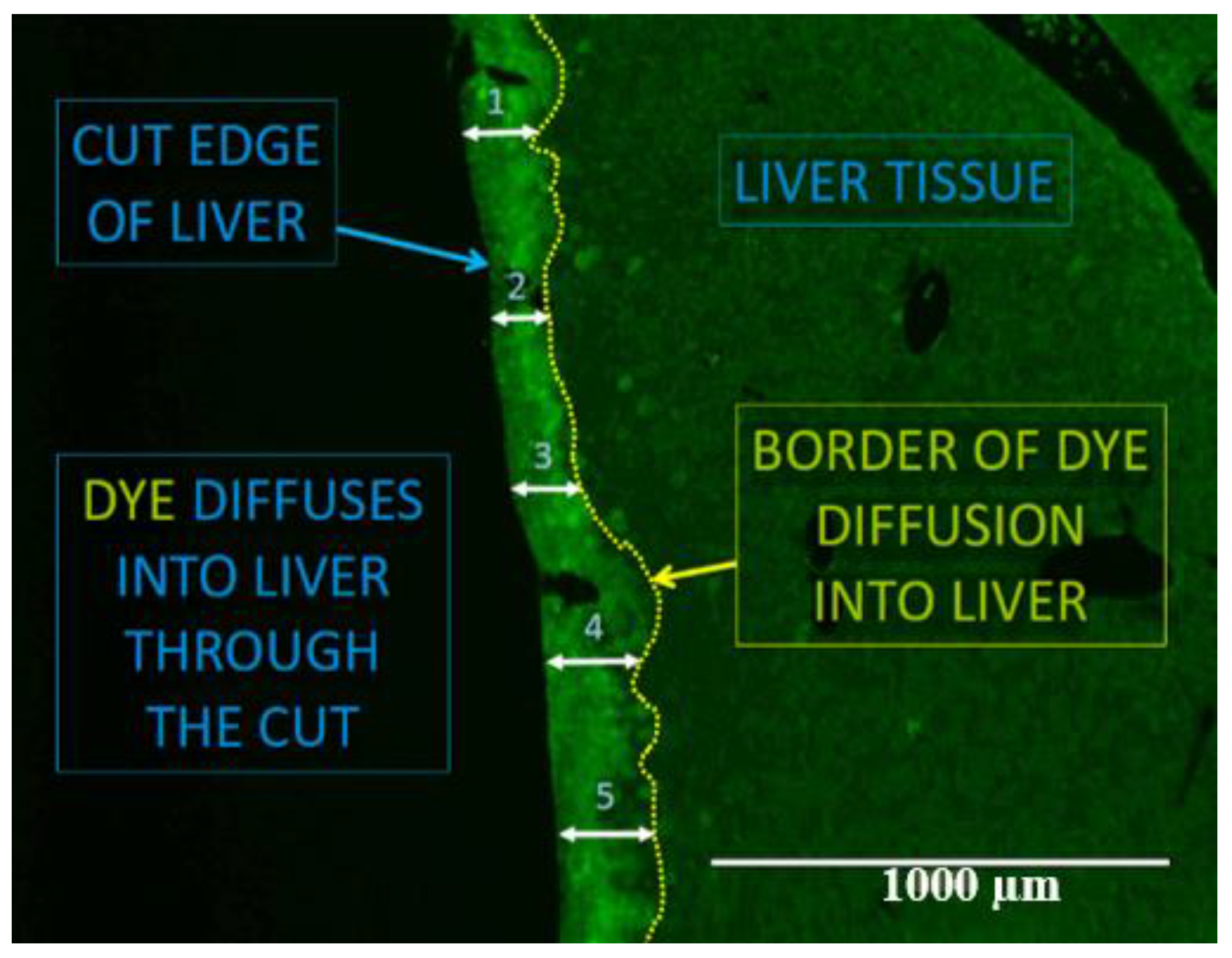 Toxins 10 00435 g004