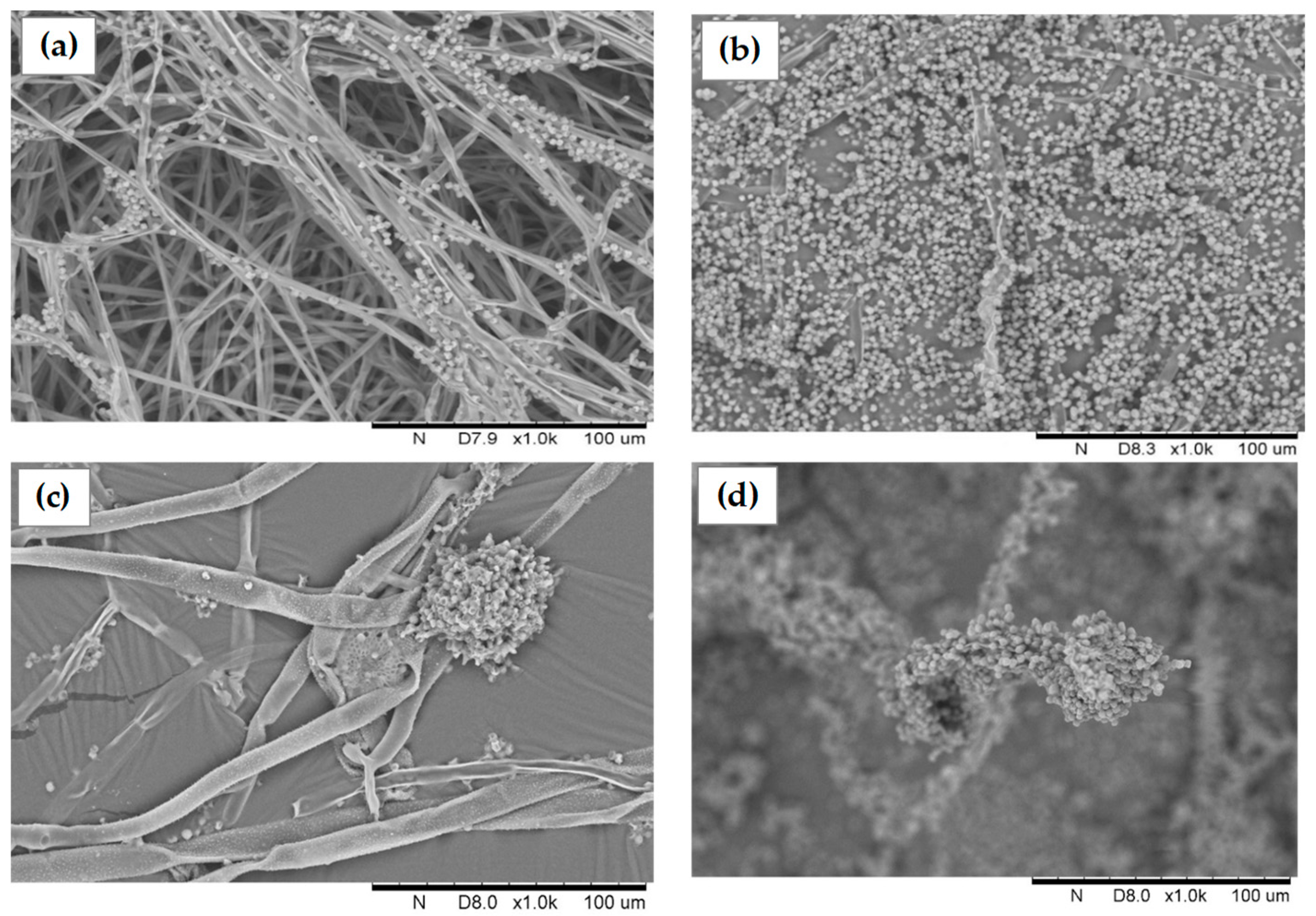 Toxins 10 00442 g001