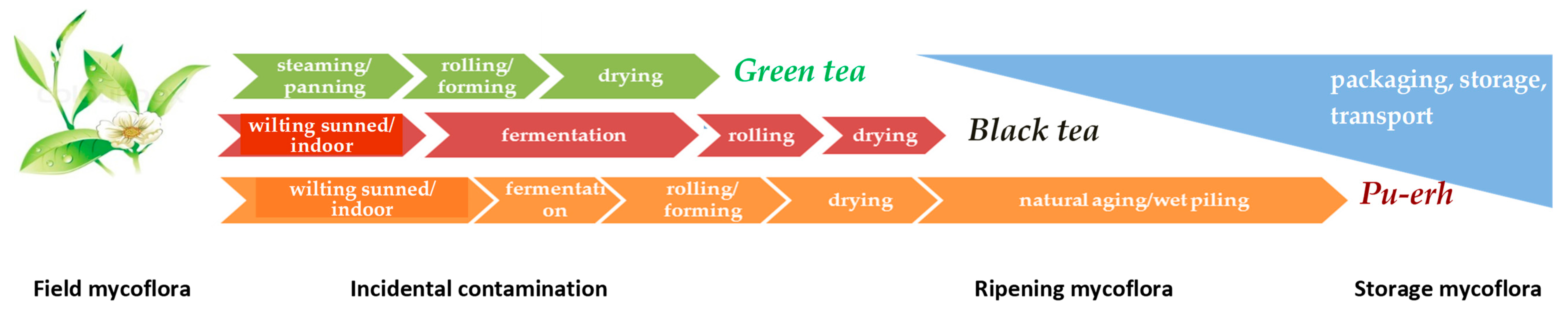 Toxins 10 00444 g001