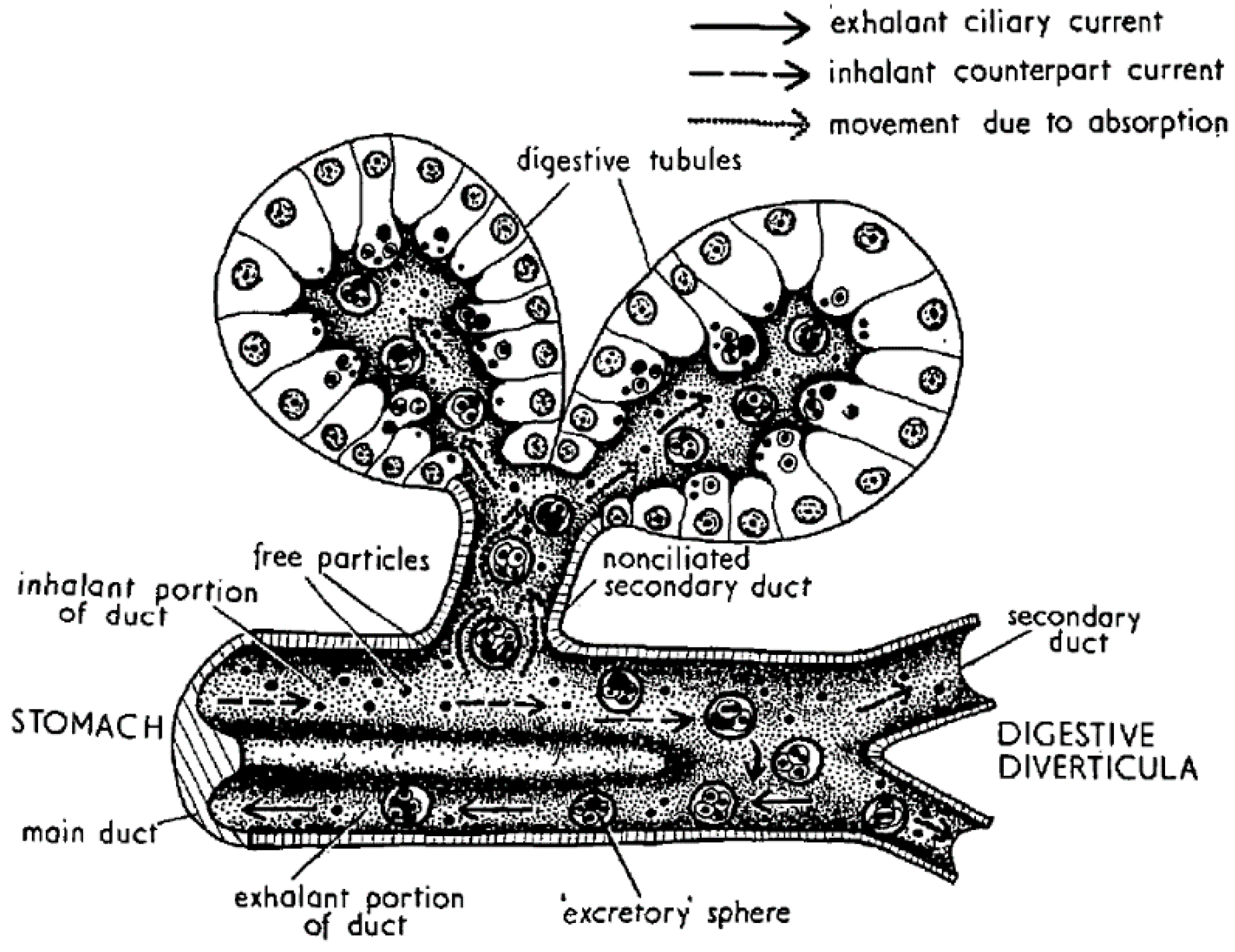Toxins 10 00453 g004 Toxins 10 00453 g004