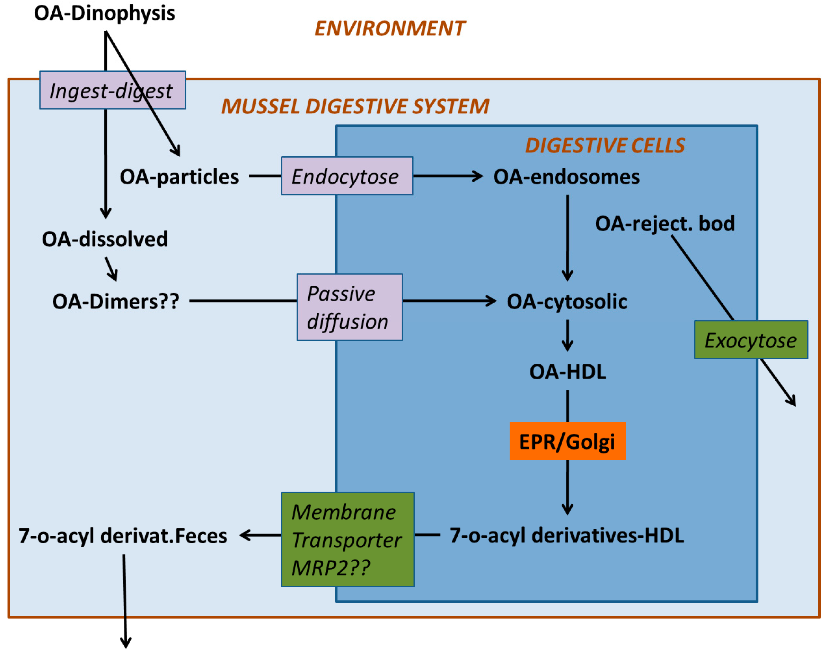 Toxins 10 00453 g005 Toxins 10 00453 g005