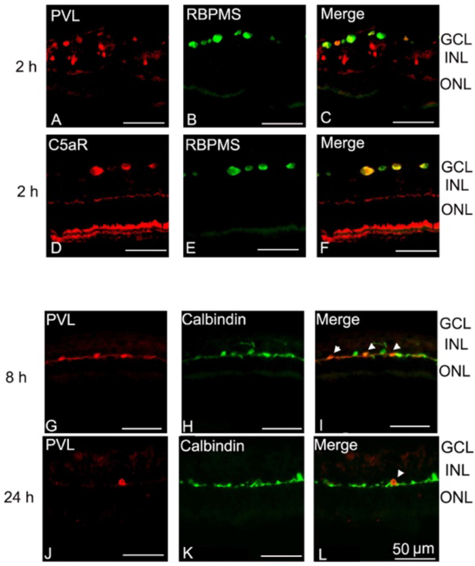 Toxins 10 00455 g001