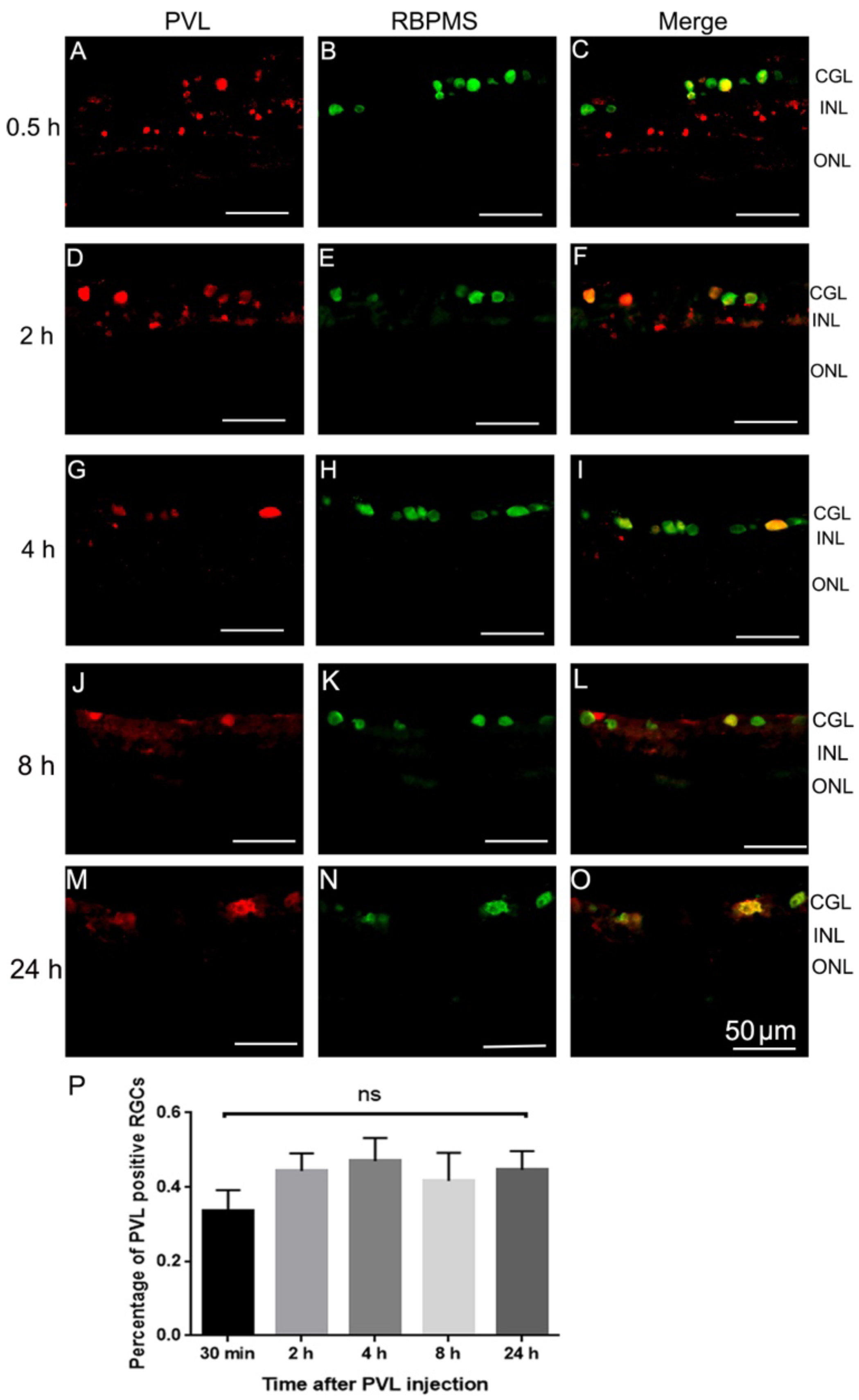 Toxins 10 00455 g002