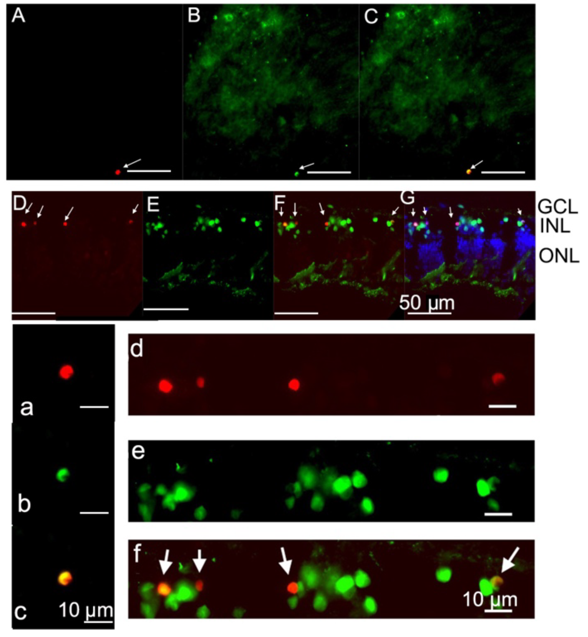 Toxins 10 00455 g007