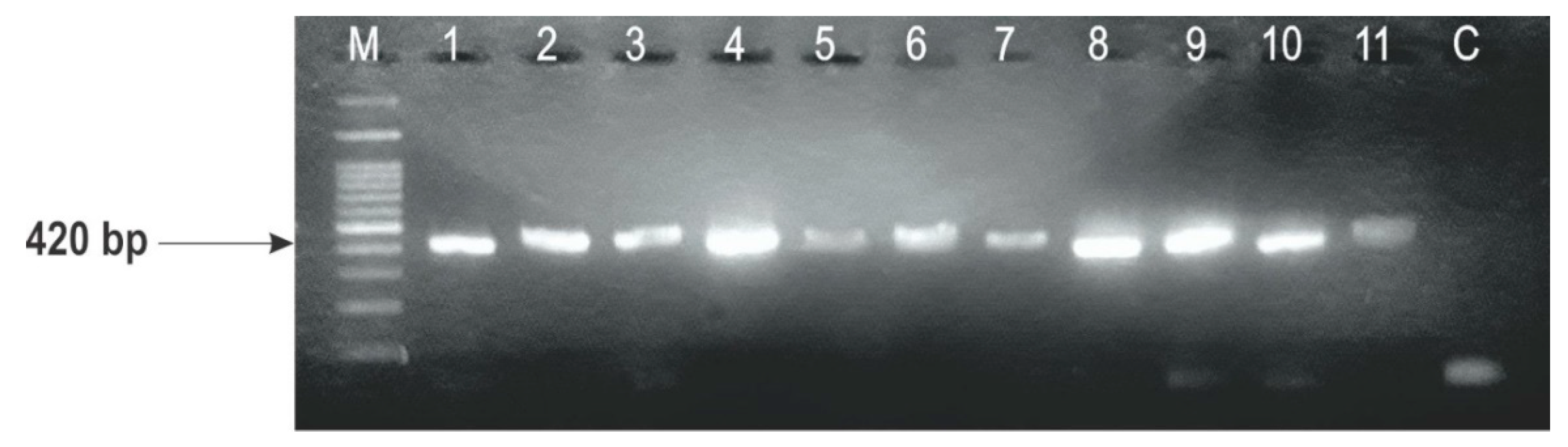 Toxins 10 00460 g002 Toxins 10 00460 g002